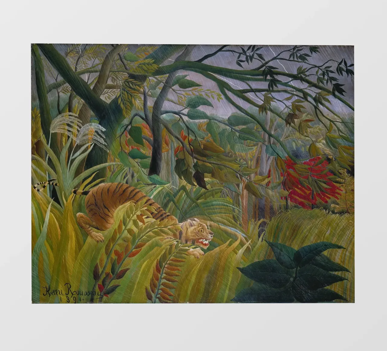 Una tigre in una tempesta tropicale - Henri Rousseau pellicola backlit da Timeless Artworks