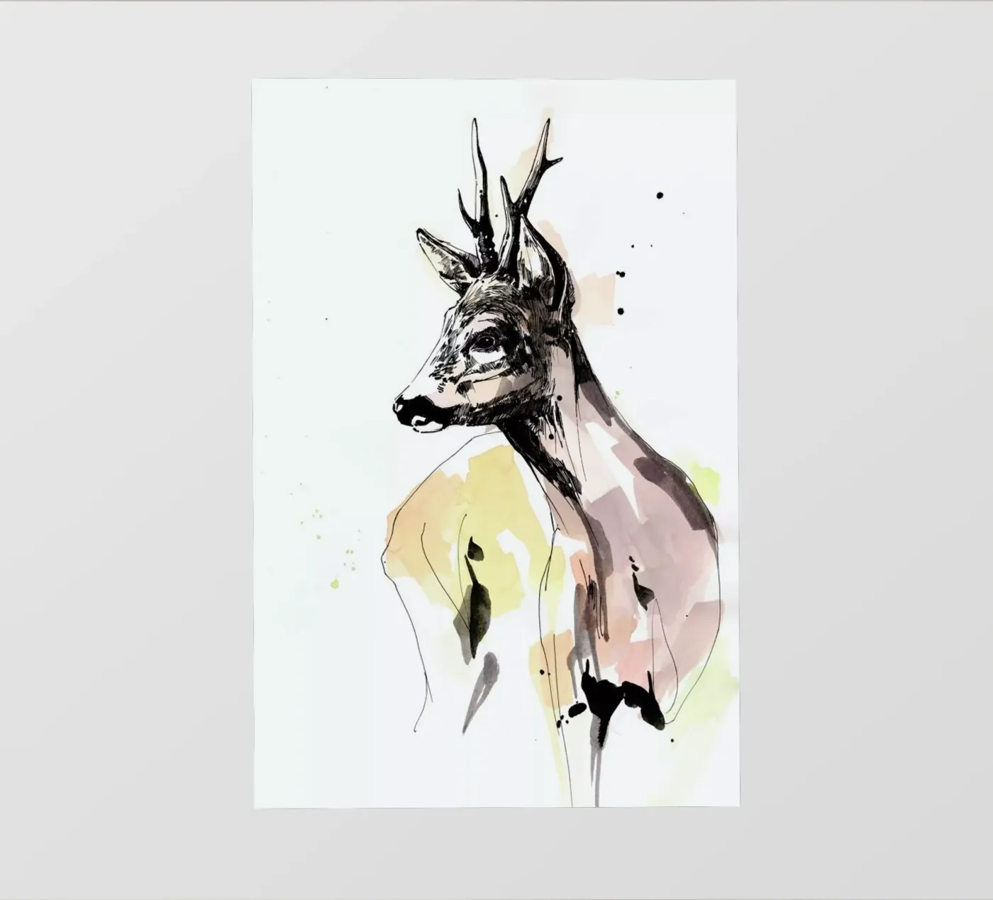 Rauke pellicola backlit da WALLstories