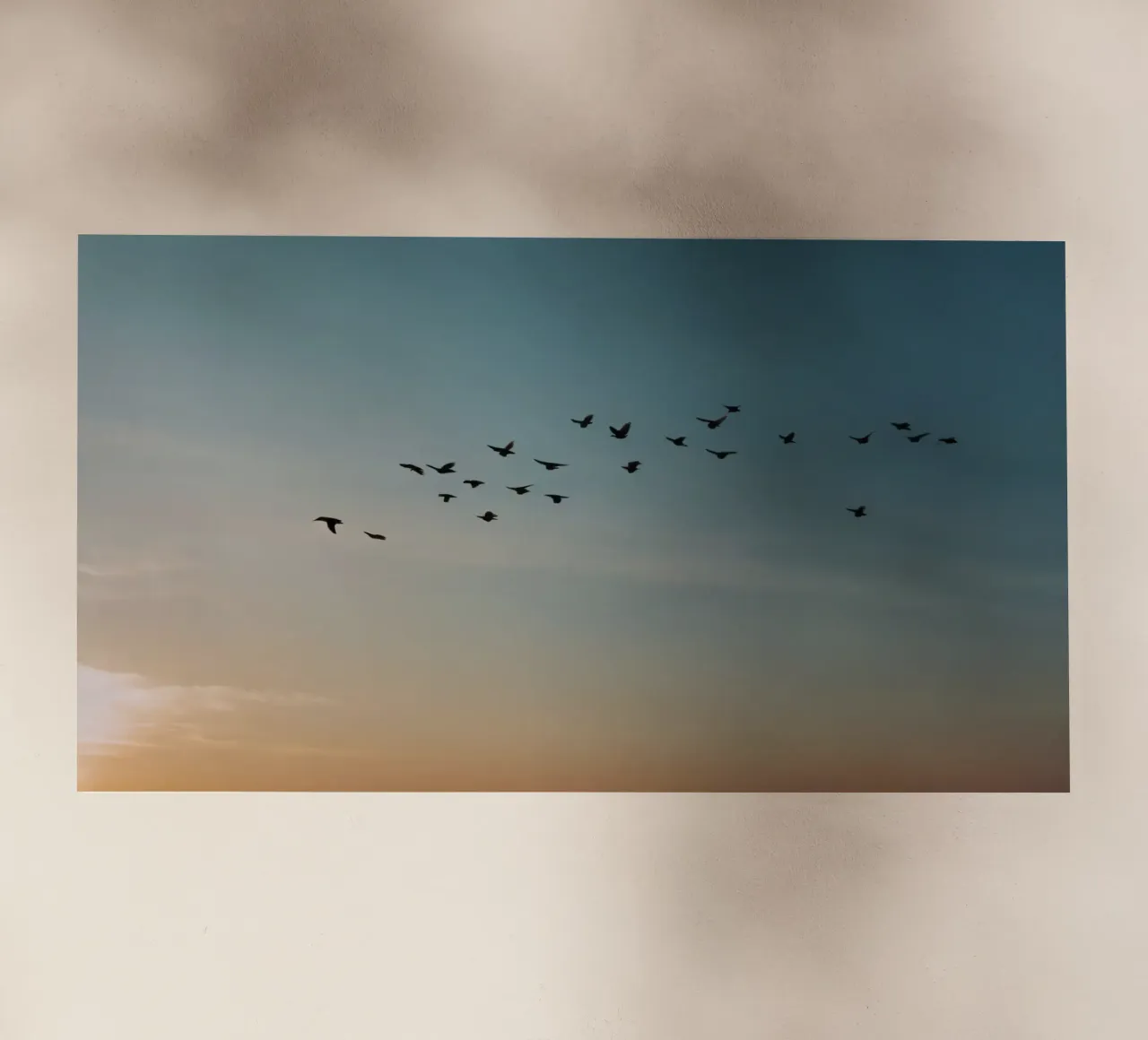 Stormo di uccelli che vola in formazione su un tramonto vibrante pellicola backlit da DesignDoodle