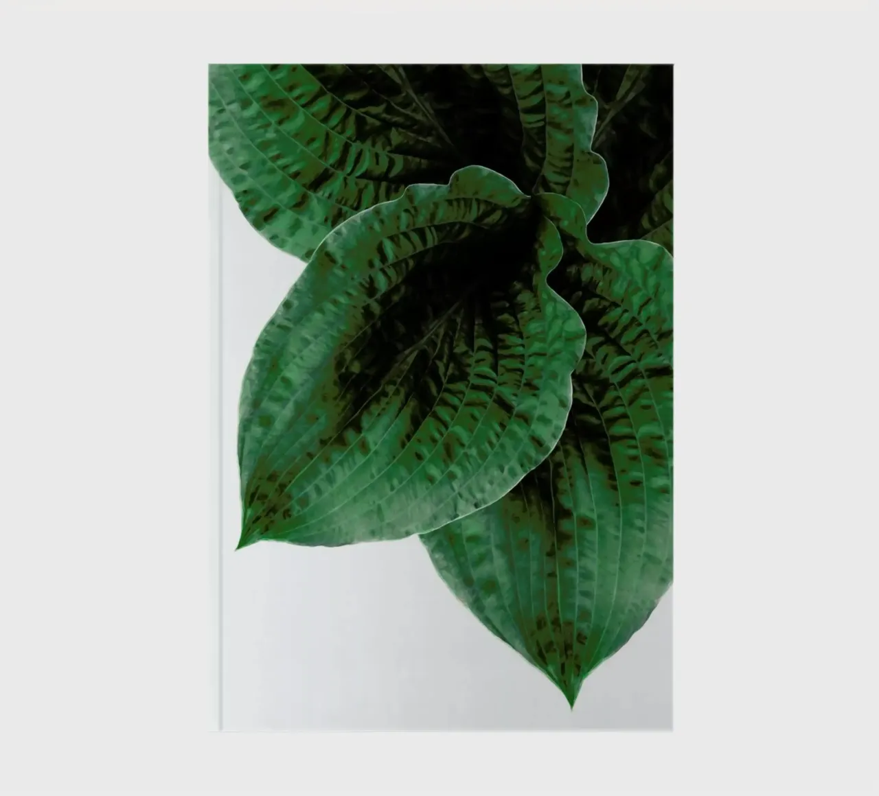 Teichpflanze notebook by Amy & Kurt
