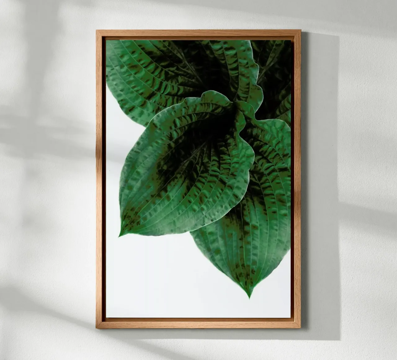 Teichpflanze canvas with Floater frame by Amy & Kurt