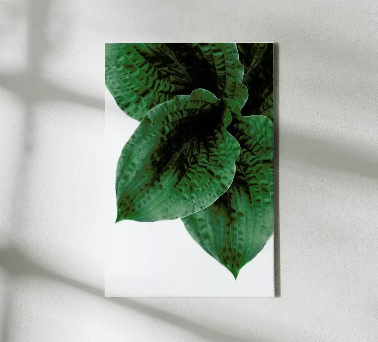 Teichpflanze canvas with Floater frame by Amy & Kurt