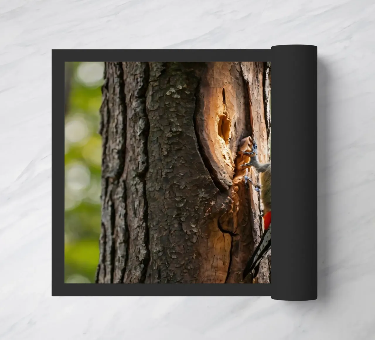 Picchio in cerca di cibo su un tronco d'albero in una foresta rigogliosa zerbino da DesignDoodle