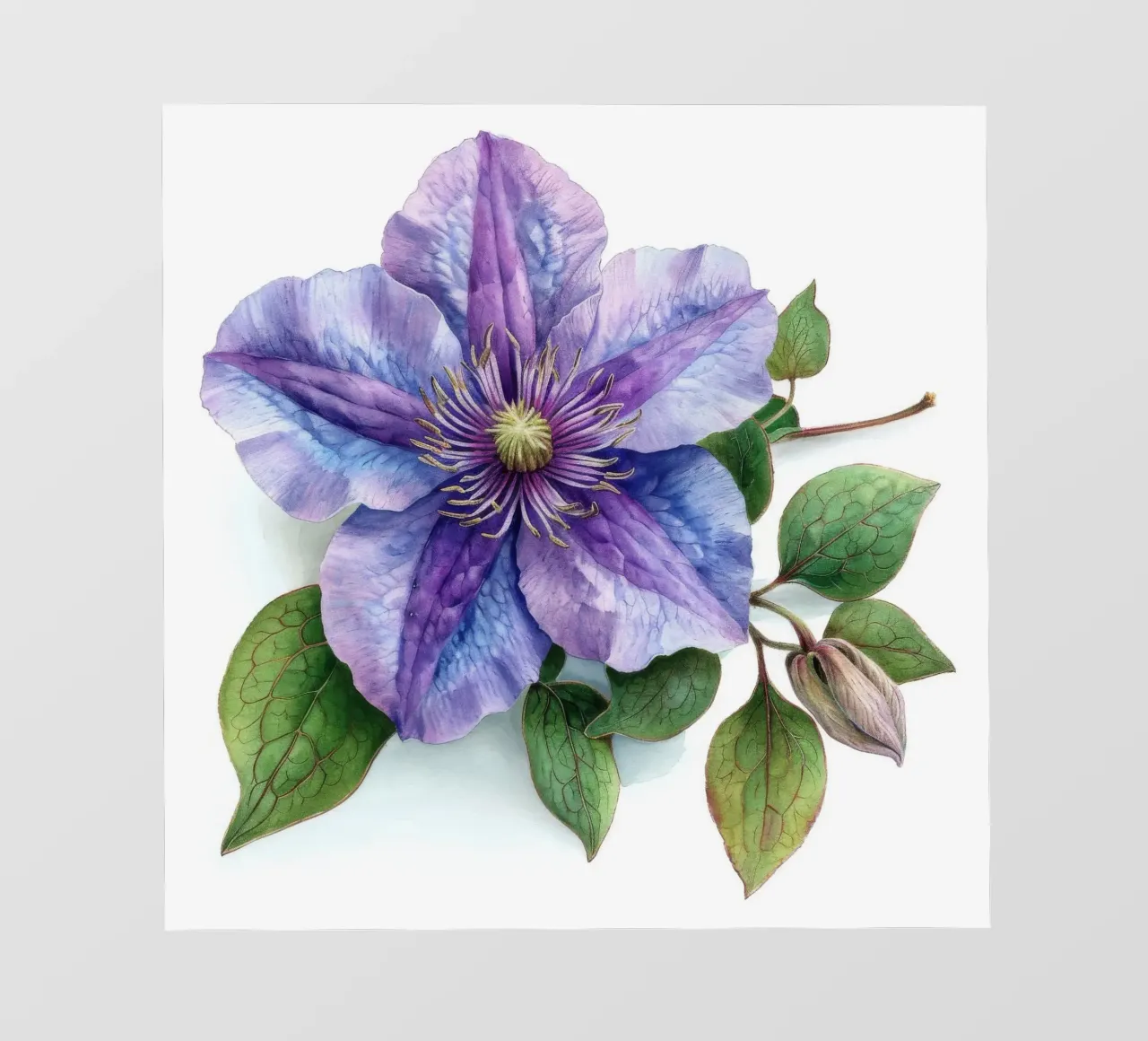 Fleur de clématite 1 papier peint photo de Bold Blooms