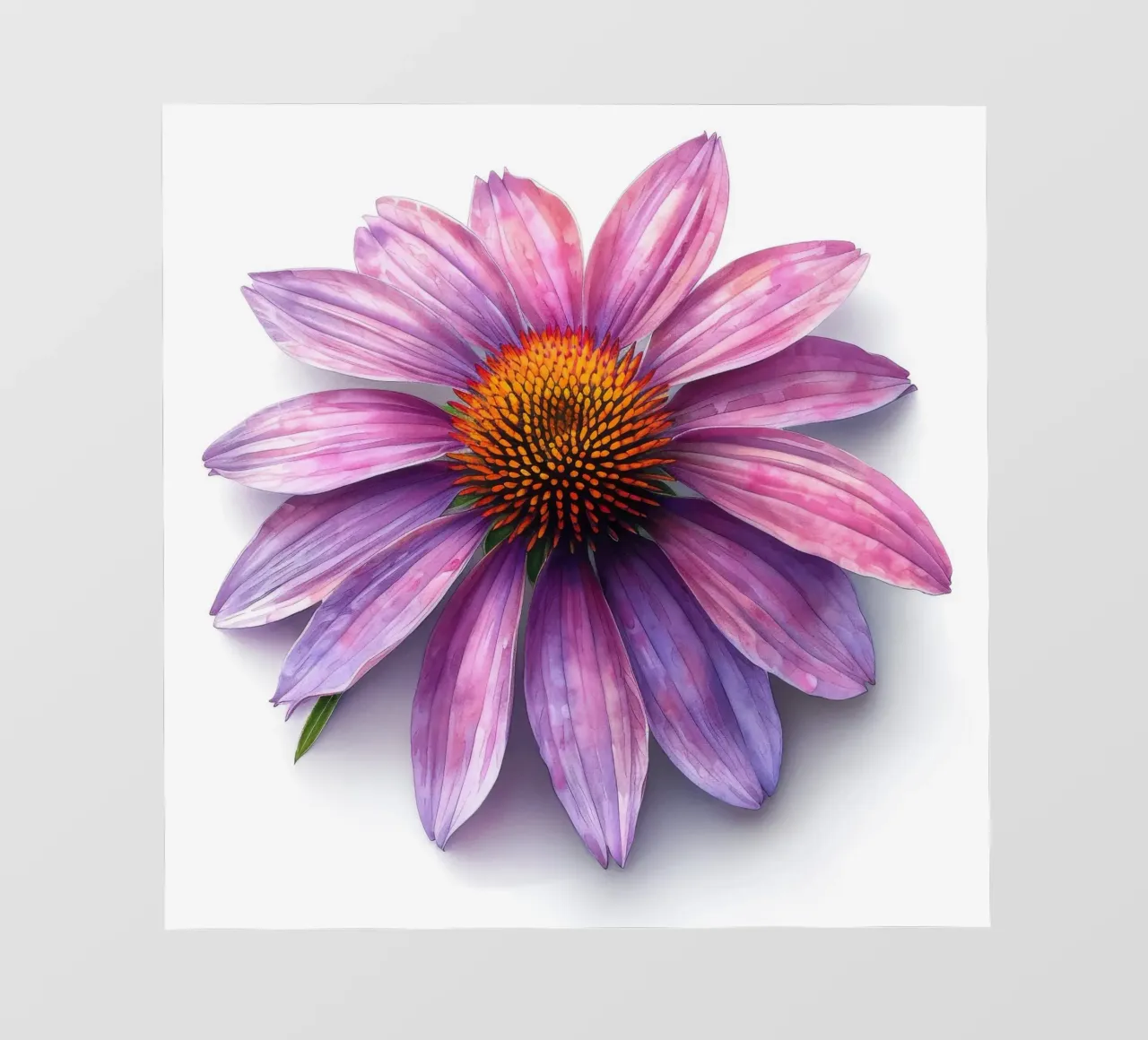 Fiore di conifera 2 telo in pvc da Bold Blooms