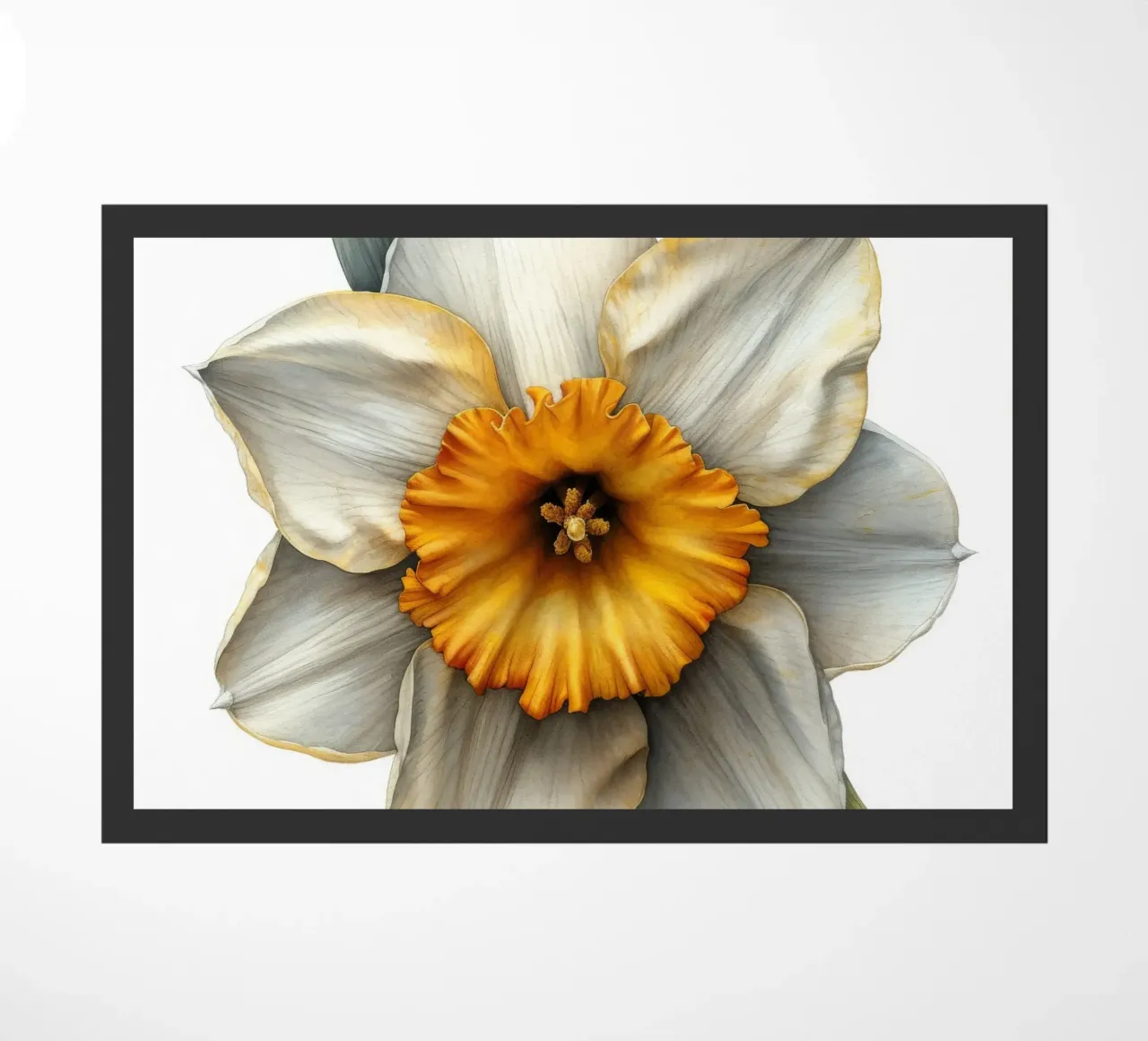 Fiore di narciso 3 zerbino da Bold Blooms