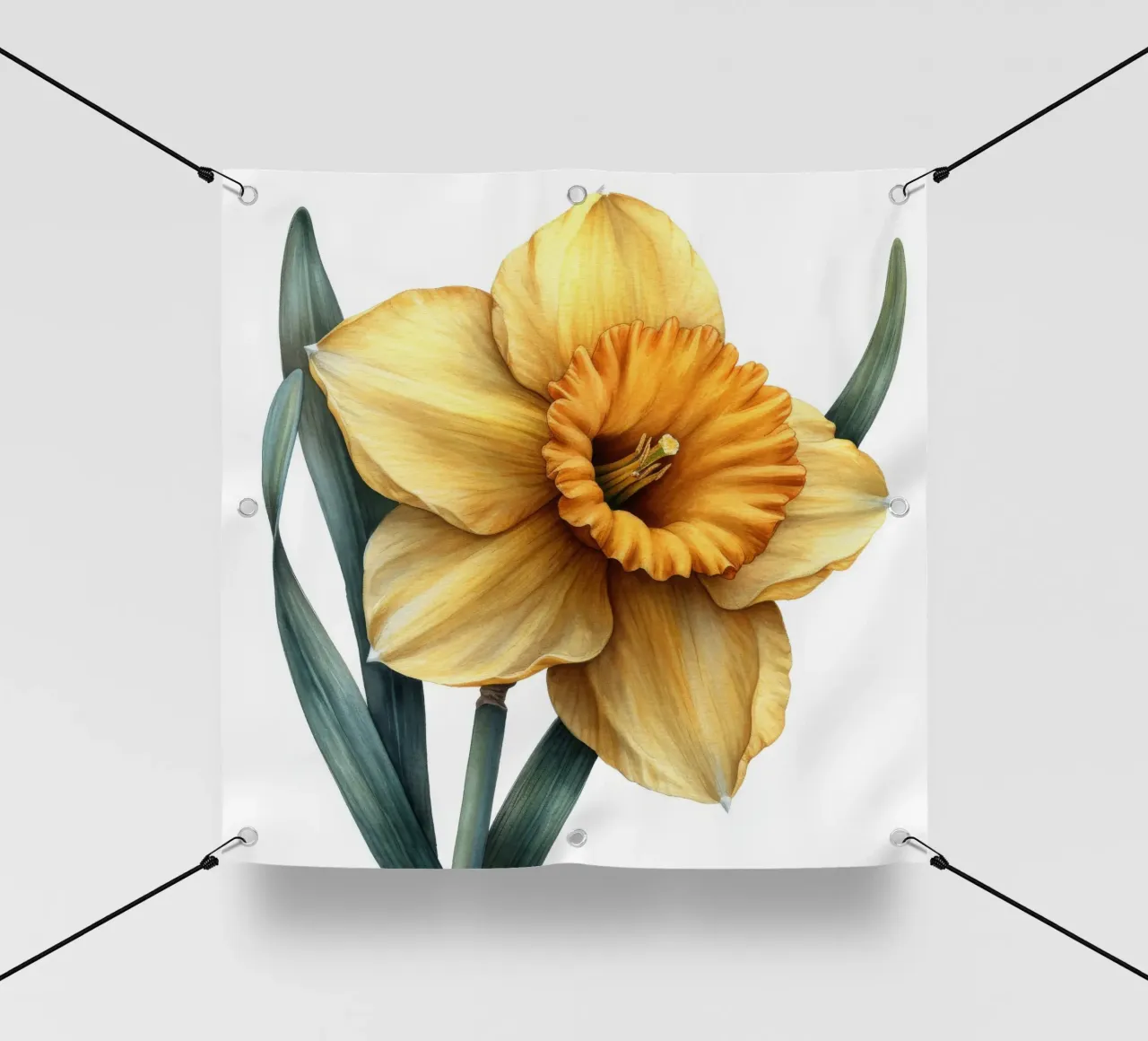Fiore di narciso 4 telo in pvc da Bold Blooms