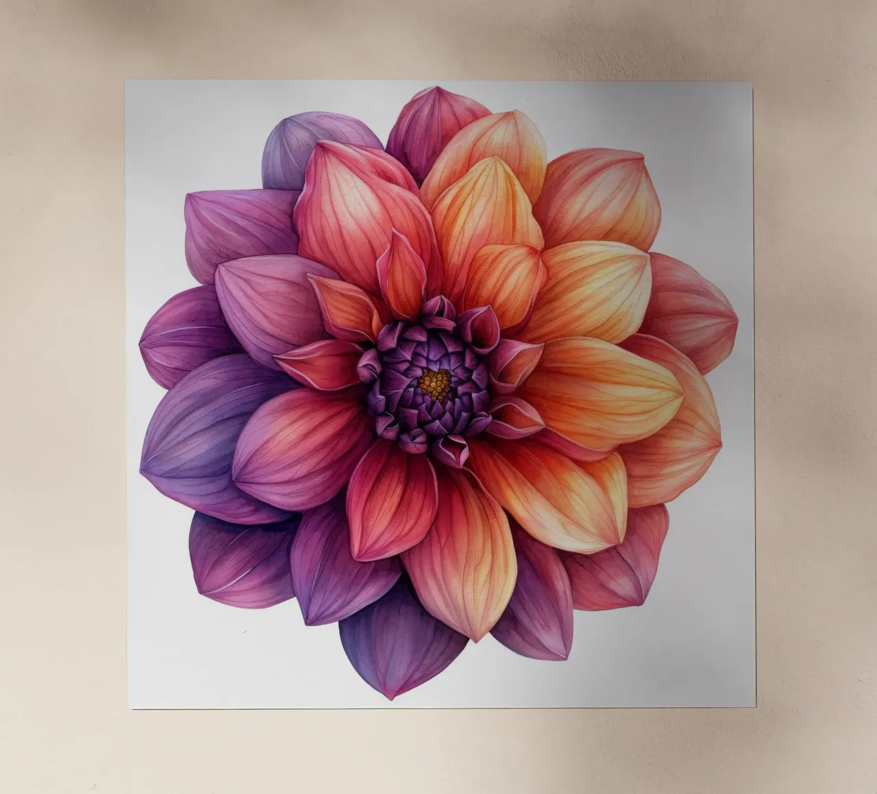Fiore di dalia 1 pellicola backlit da Bold Blooms