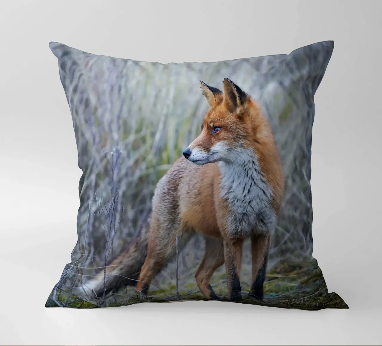 Fox decorative cushion by Tom's Wildlife