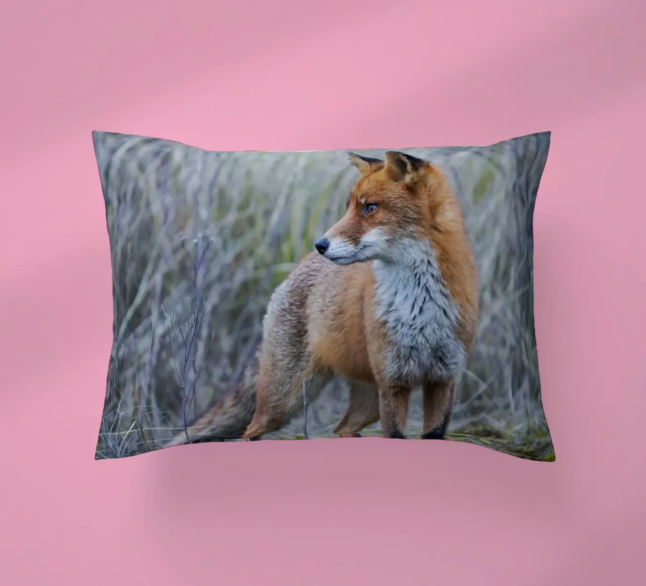 Fox decorative cushion by Tom's Wildlife
