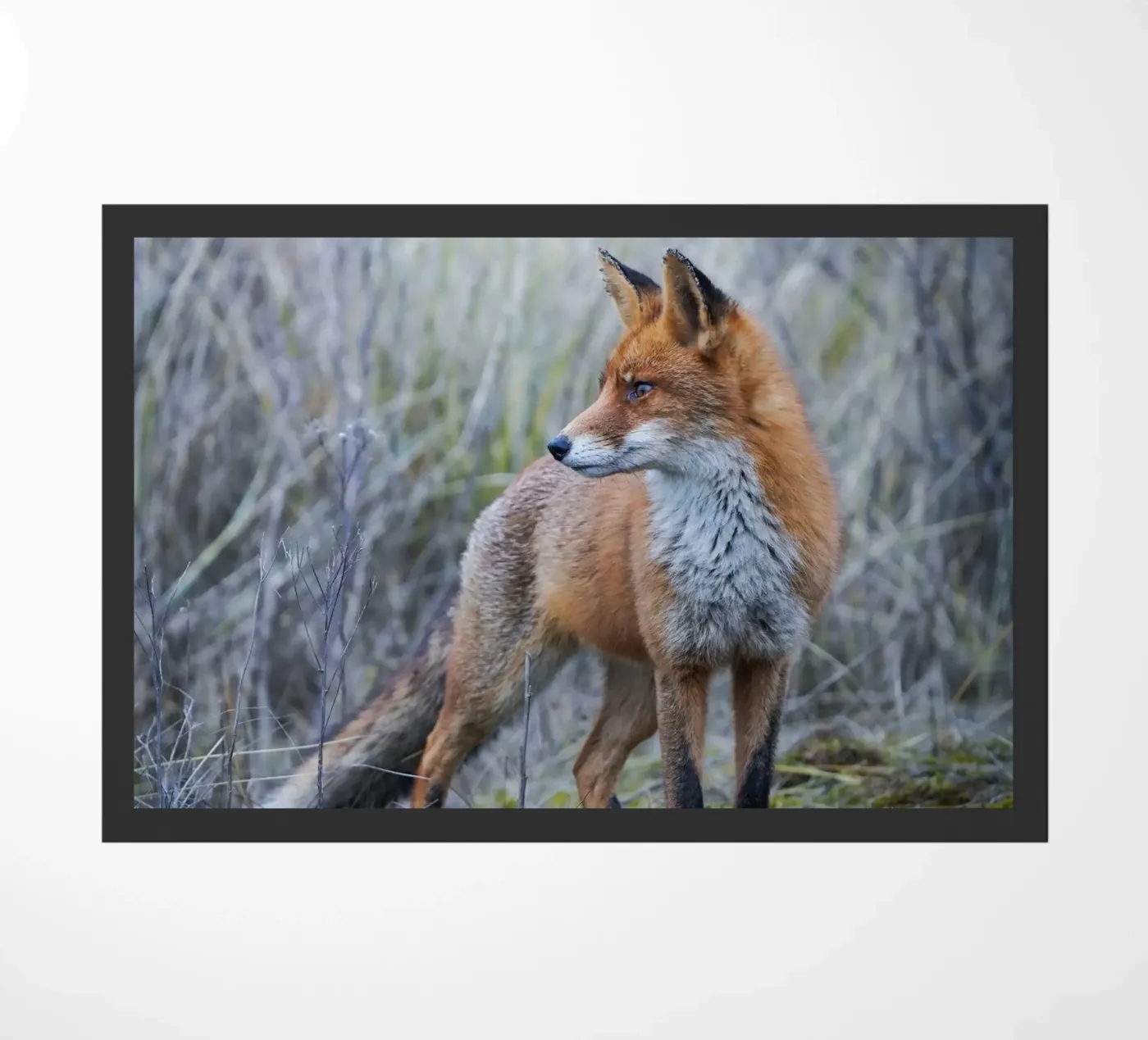 Fox doormat by Tom's Wildlife