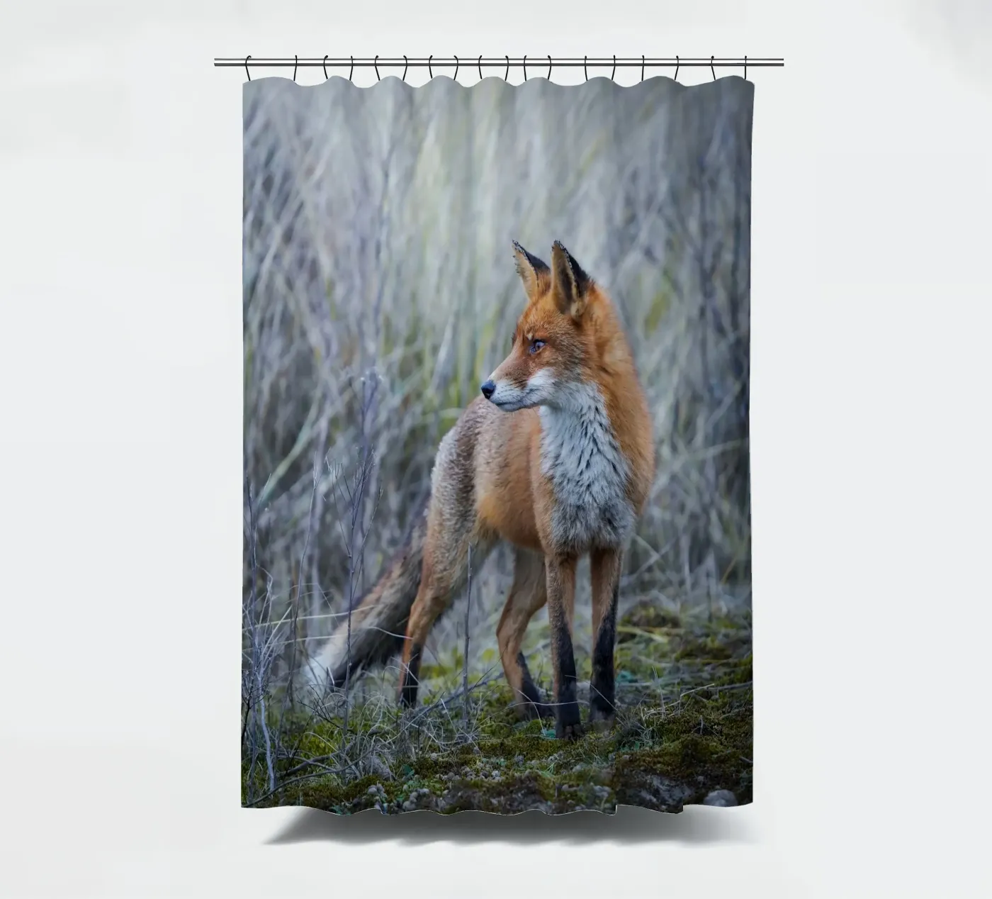 Fuchs Duschvorhang von Tom's Wildlife