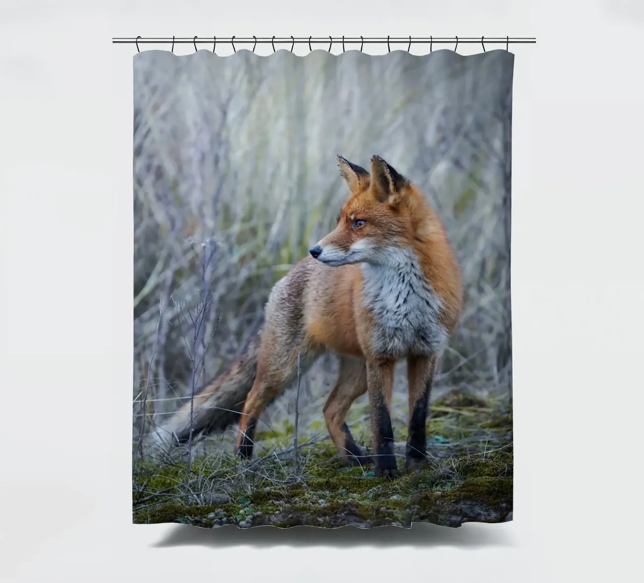 Fox shower curtain by Tom's Wildlife