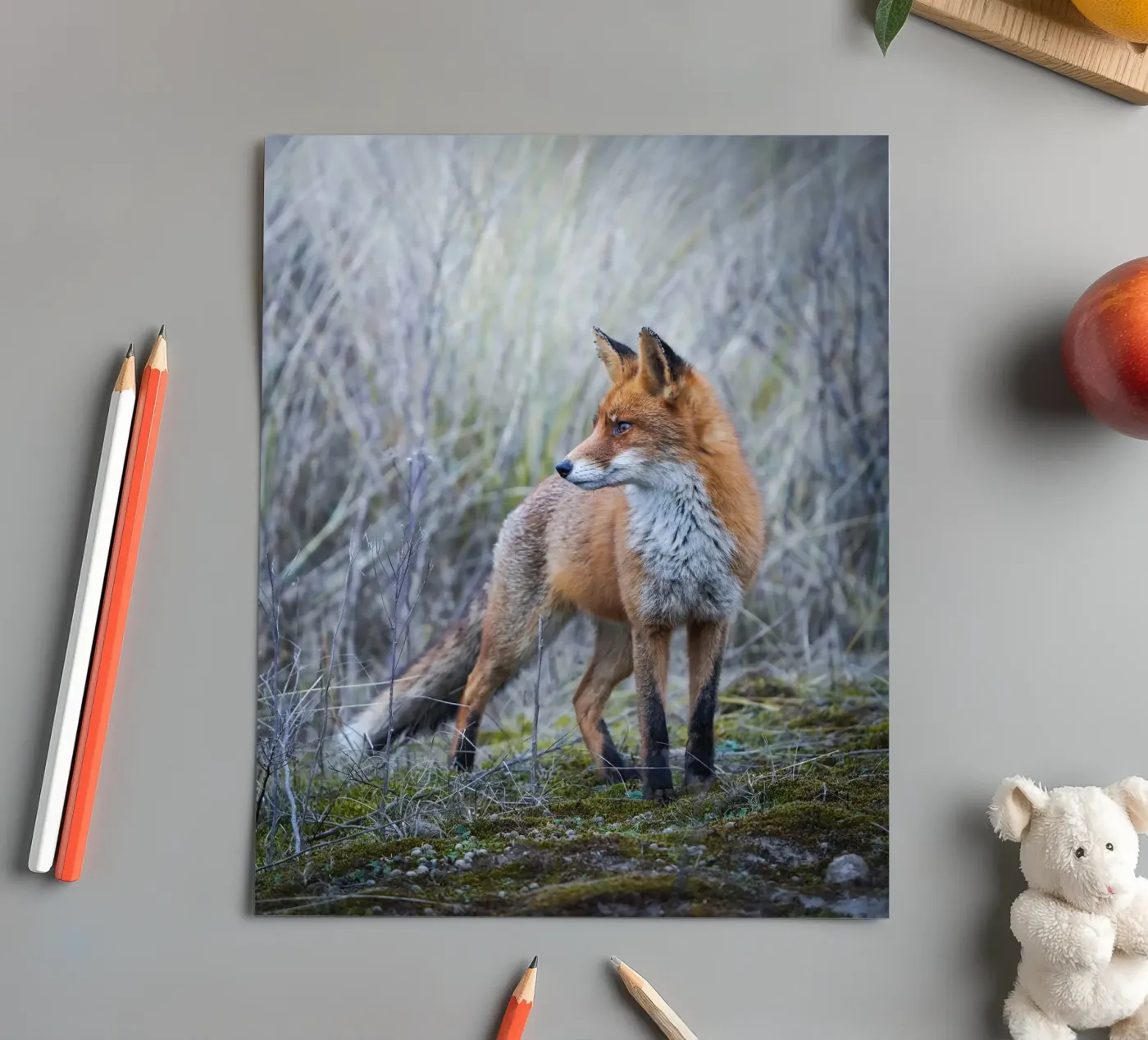 Fox sticker sheet by Tom's Wildlife