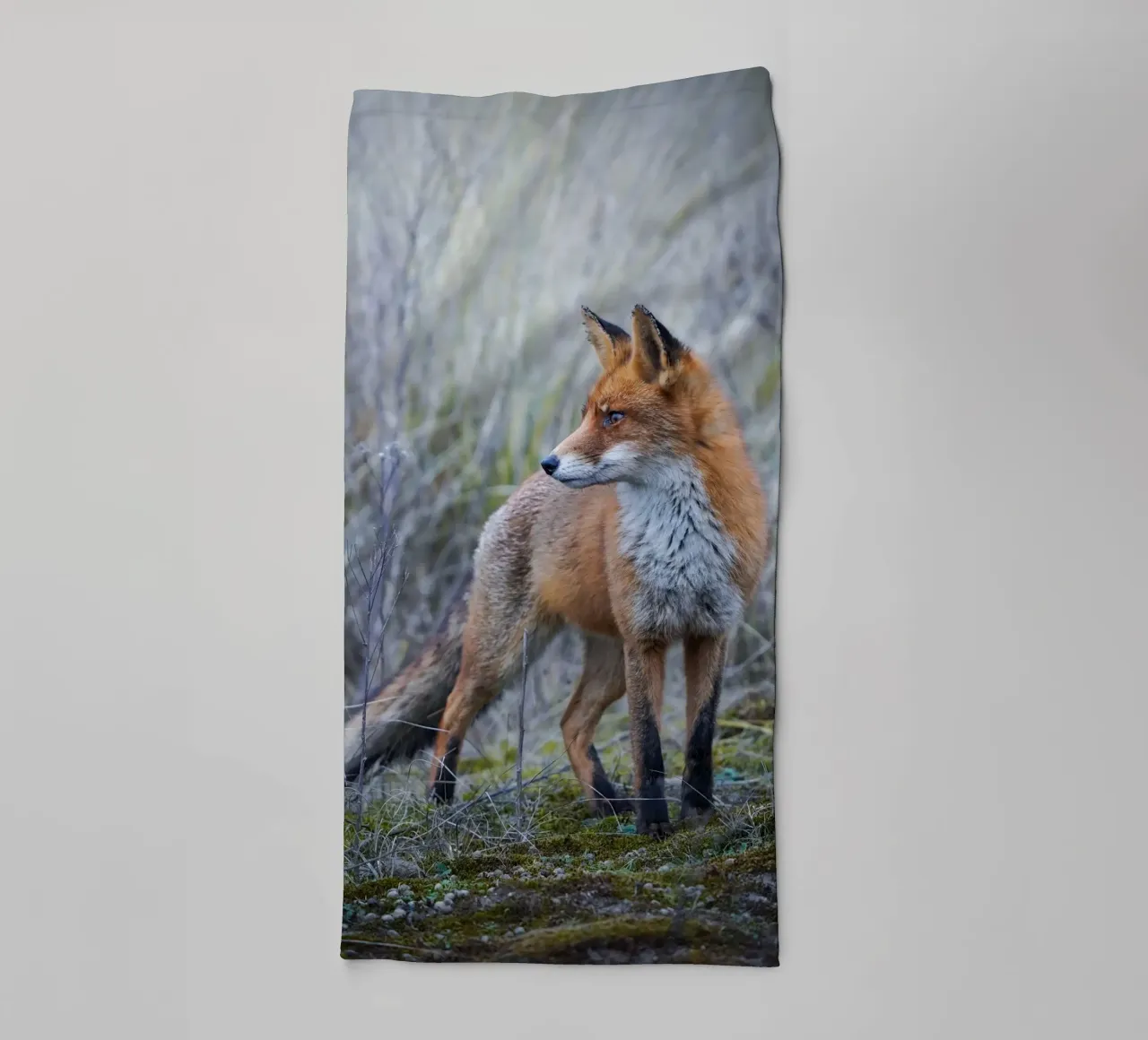 Fox towel by Tom's Wildlife