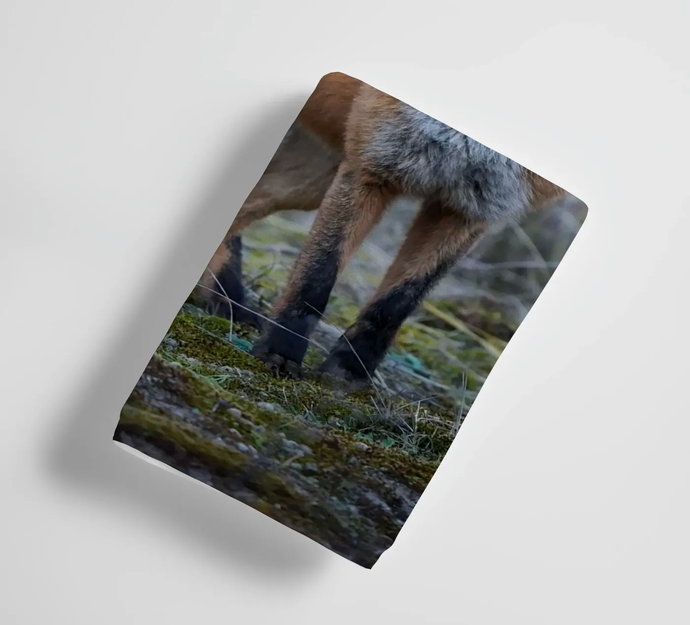 Fox Handtuch von Tom's Wildlife