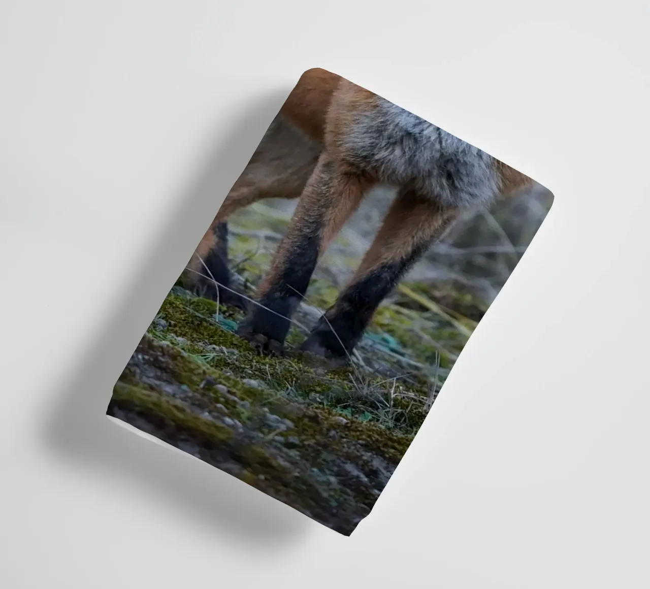 Fox towel by Tom's Wildlife