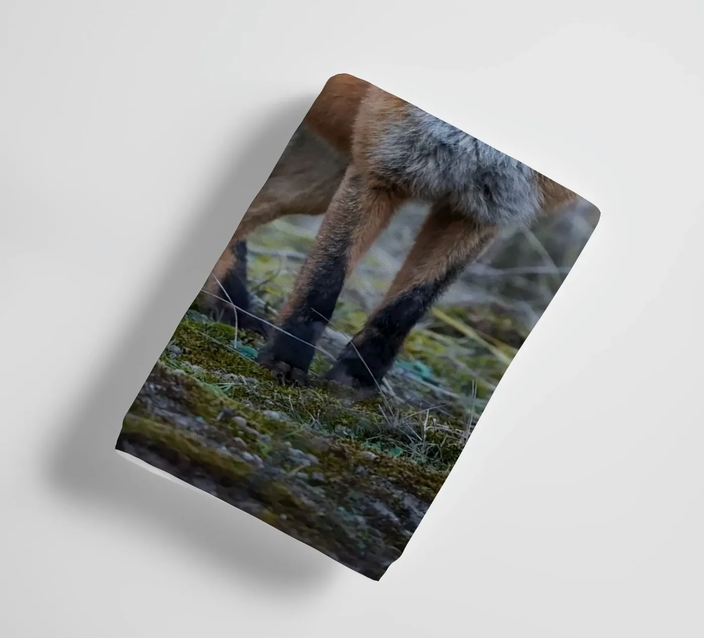 Fox towel by Tom's Wildlife