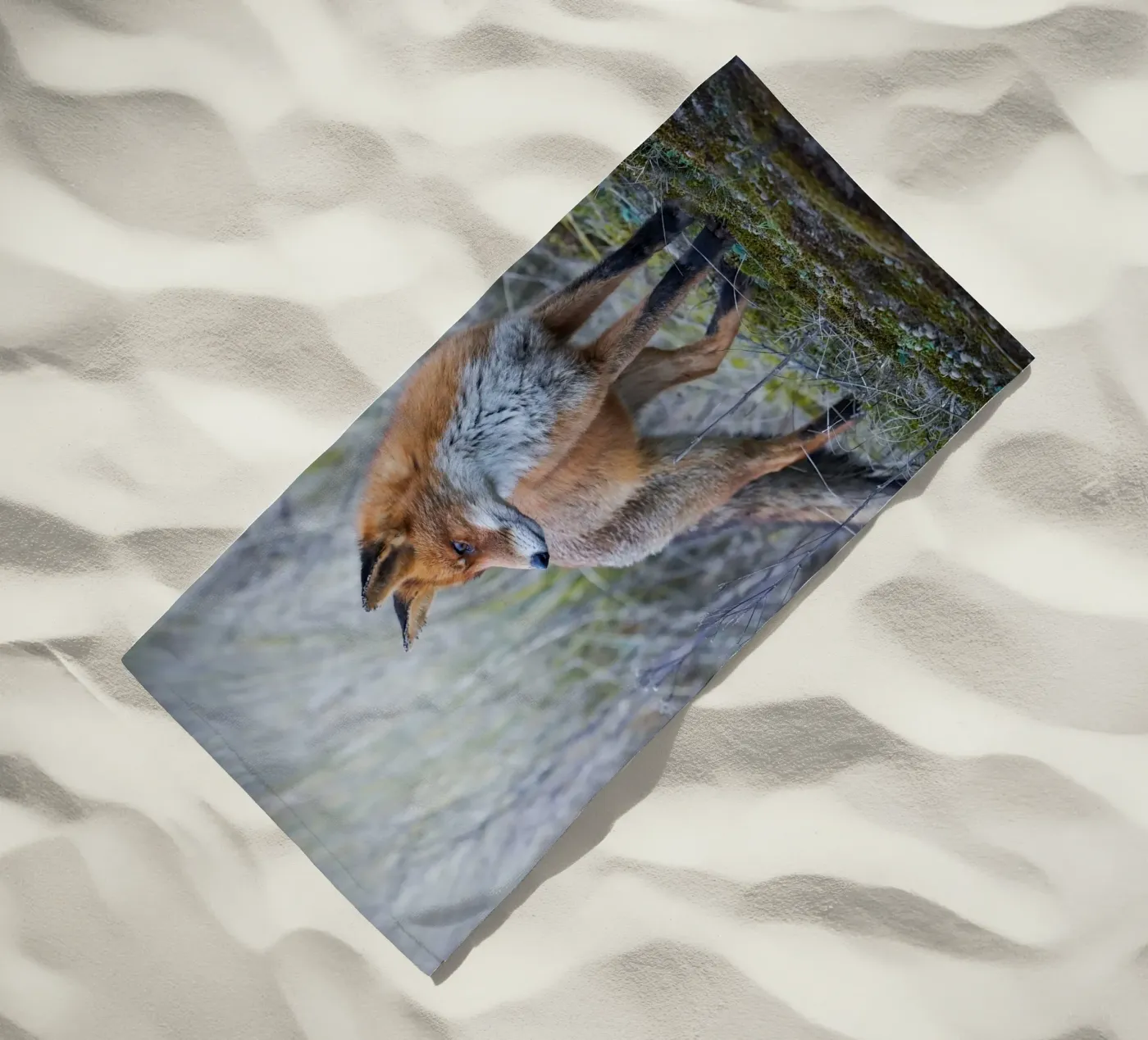 Renard serviette de plage de Tom's Wildlife