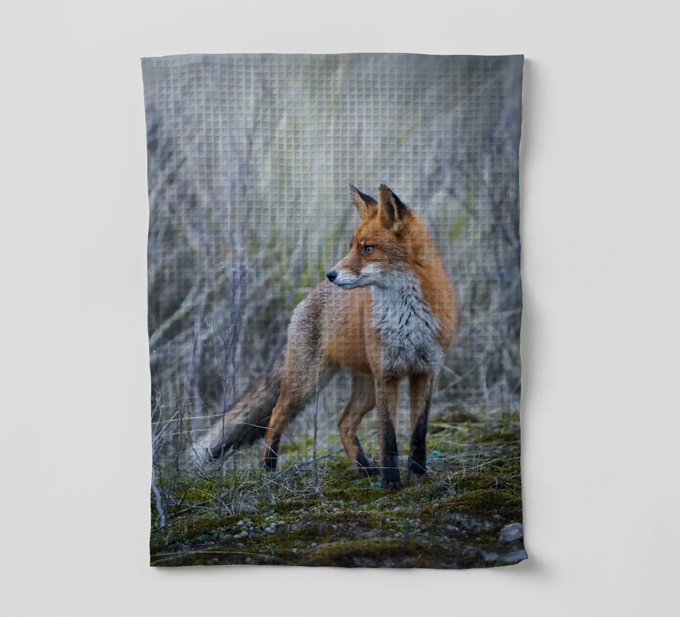 Fox Geschirrtuch von Tom's Wildlife