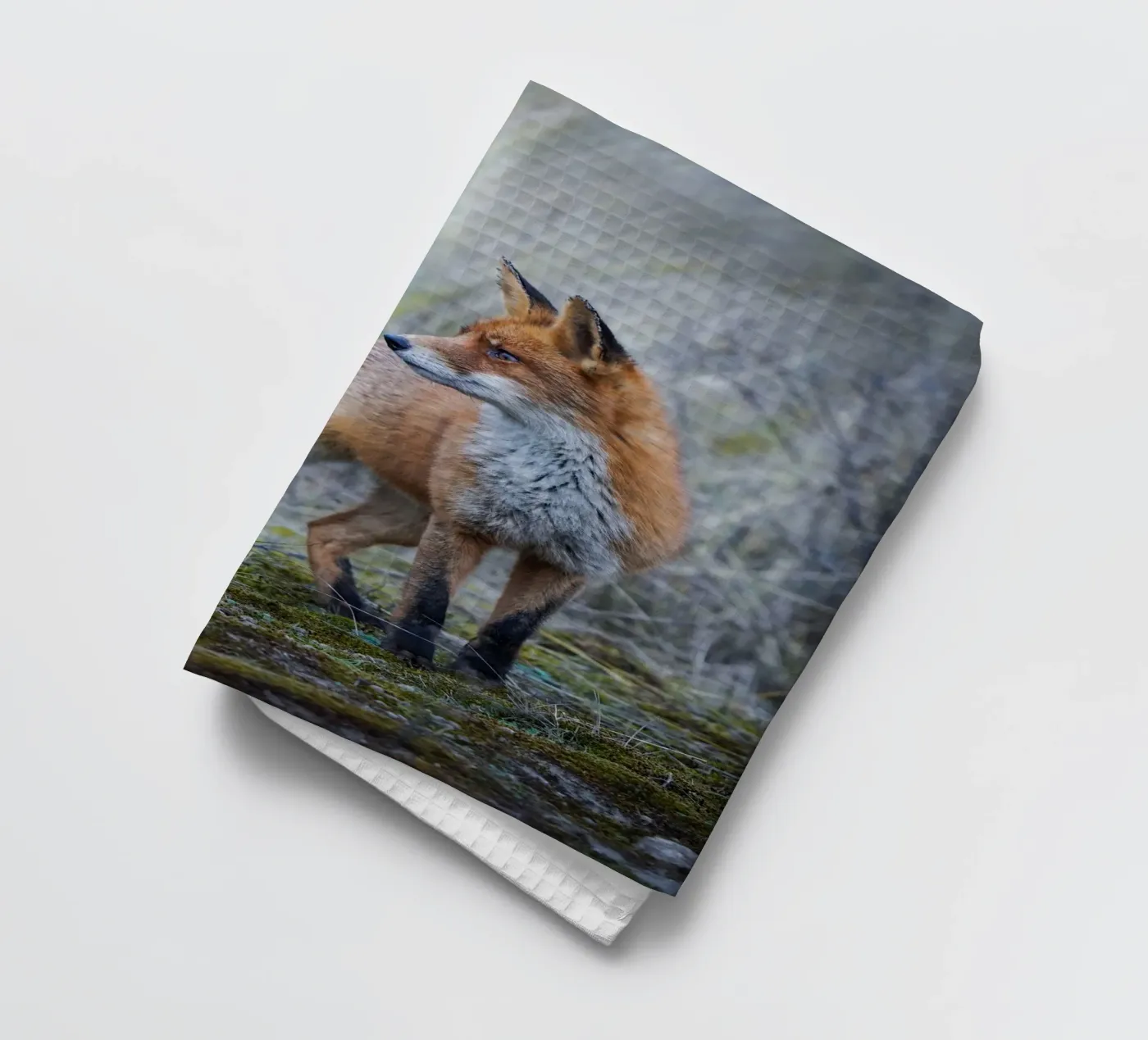 Fox Geschirrtuch von Tom's Wildlife