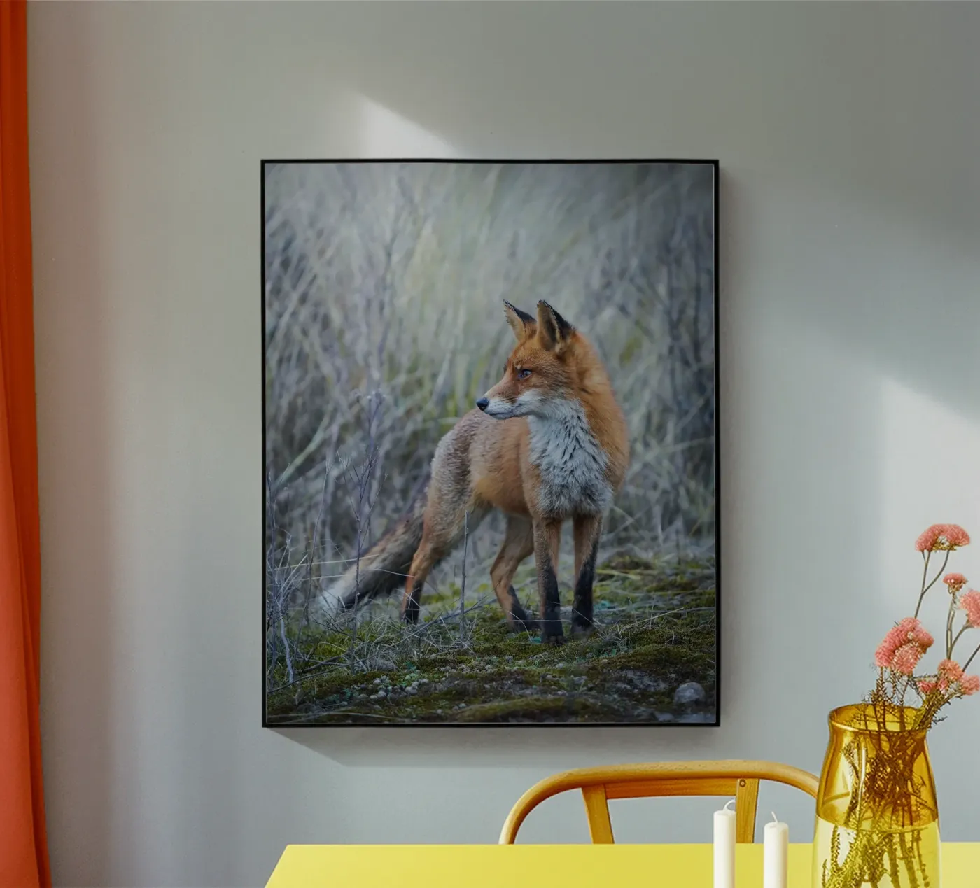 Volpe plexiglass da Tom's Wildlife