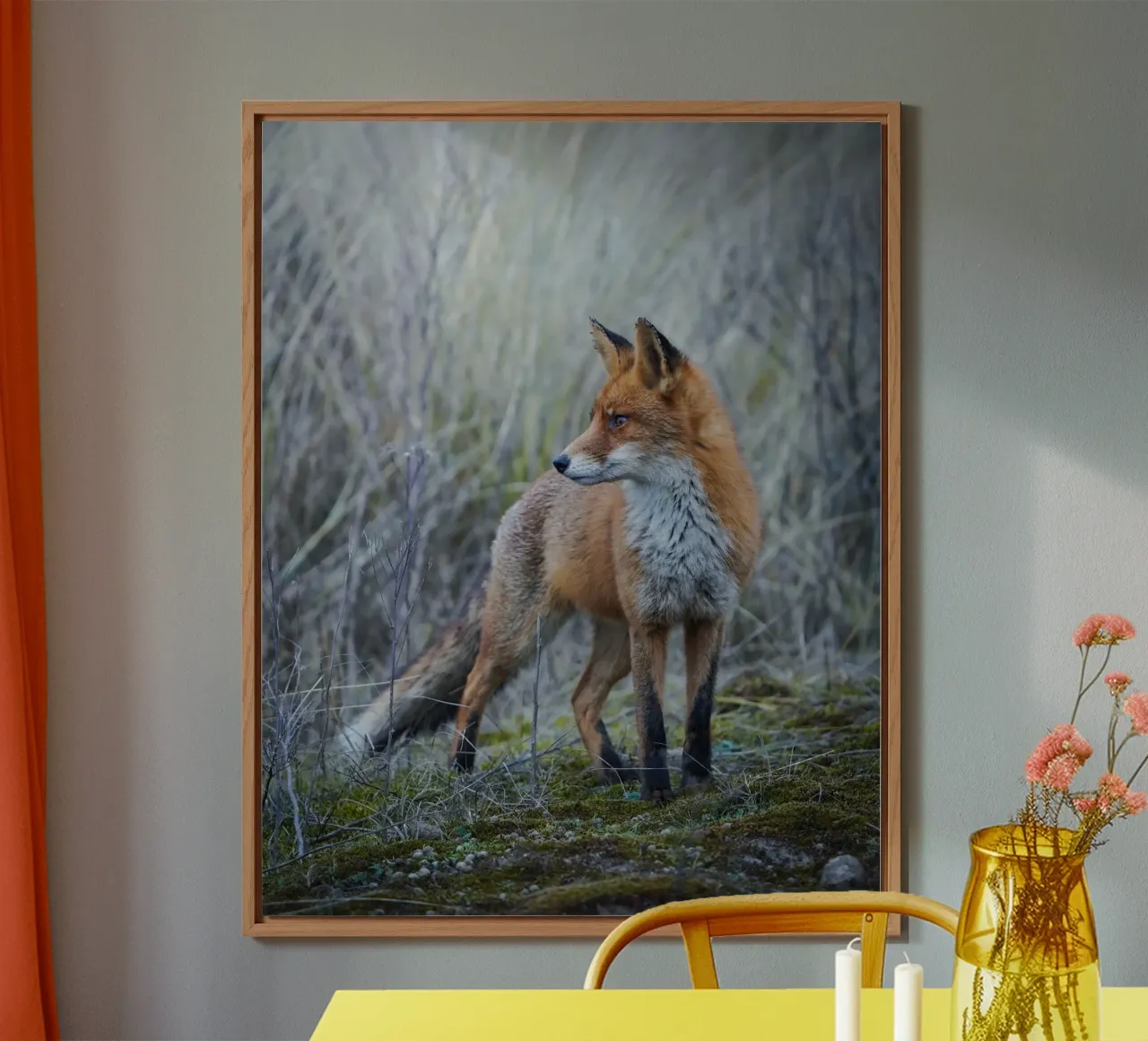 Fox forex plate by Tom's Wildlife