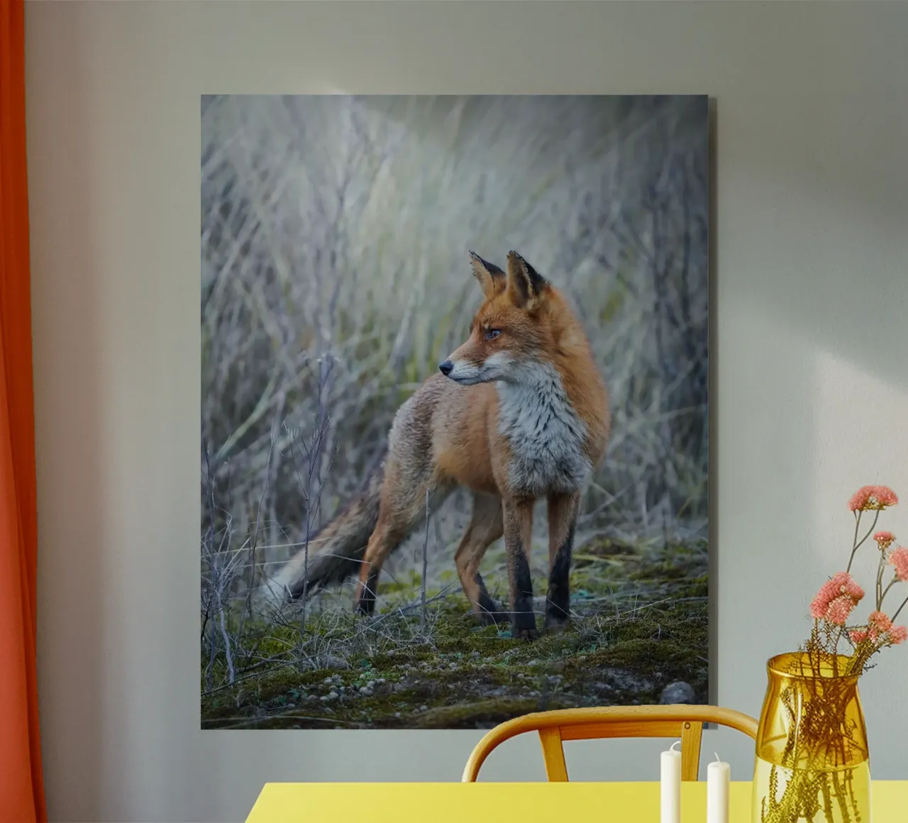 Fox forex plate by Tom's Wildlife
