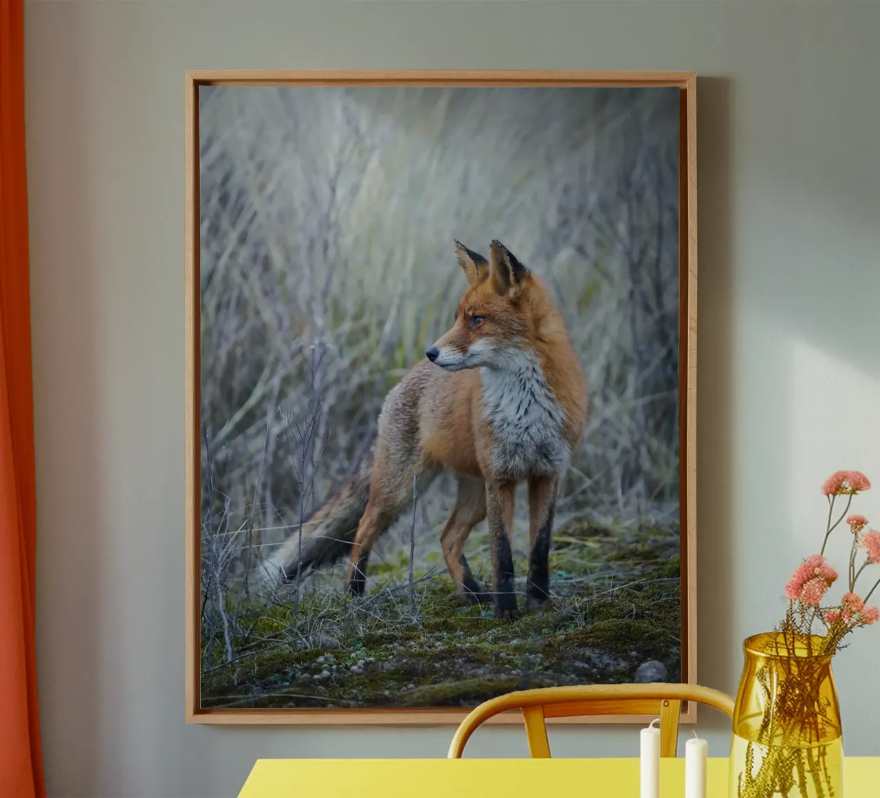 Volpe tela con Cornice a cassetta da Tom's Wildlife