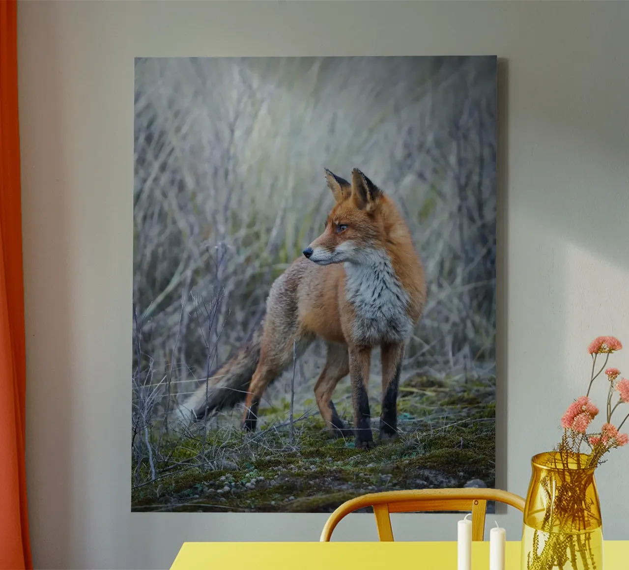 Volpe tela con Cornice a cassetta da Tom's Wildlife