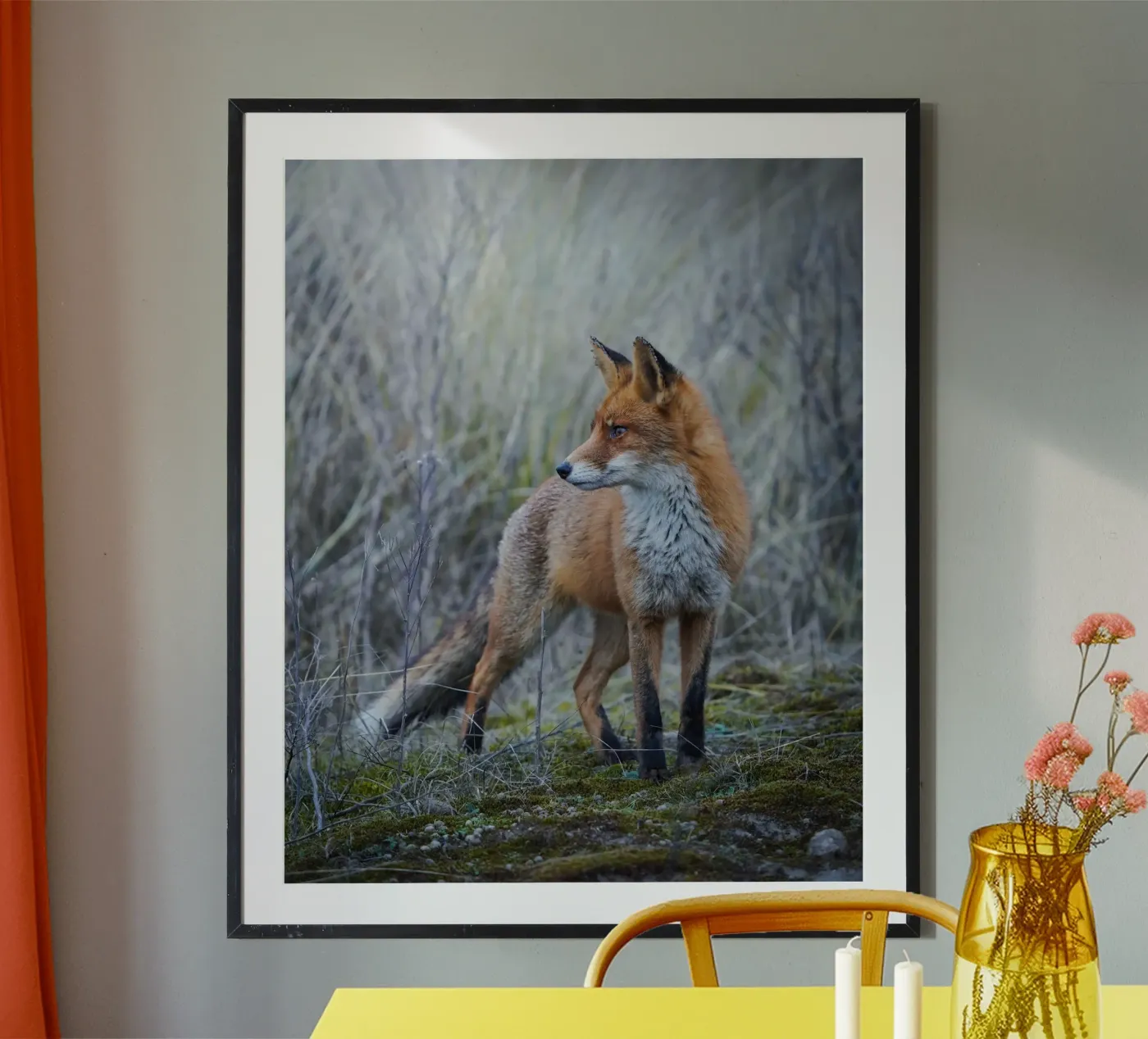 Fox poster van Tom's Wildlife