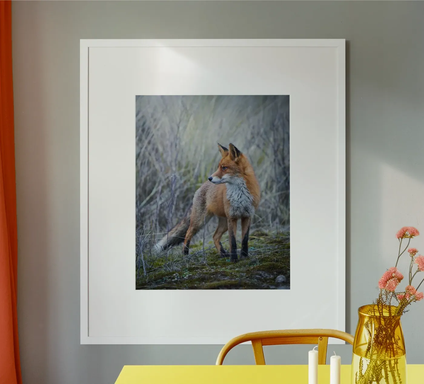 Fox poster van Tom's Wildlife