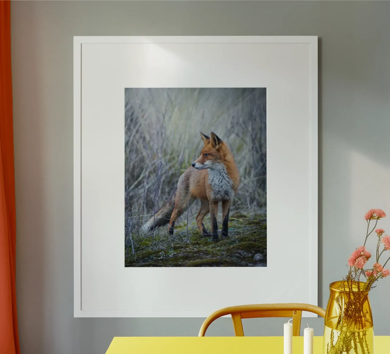 Fox poster by Tom's Wildlife