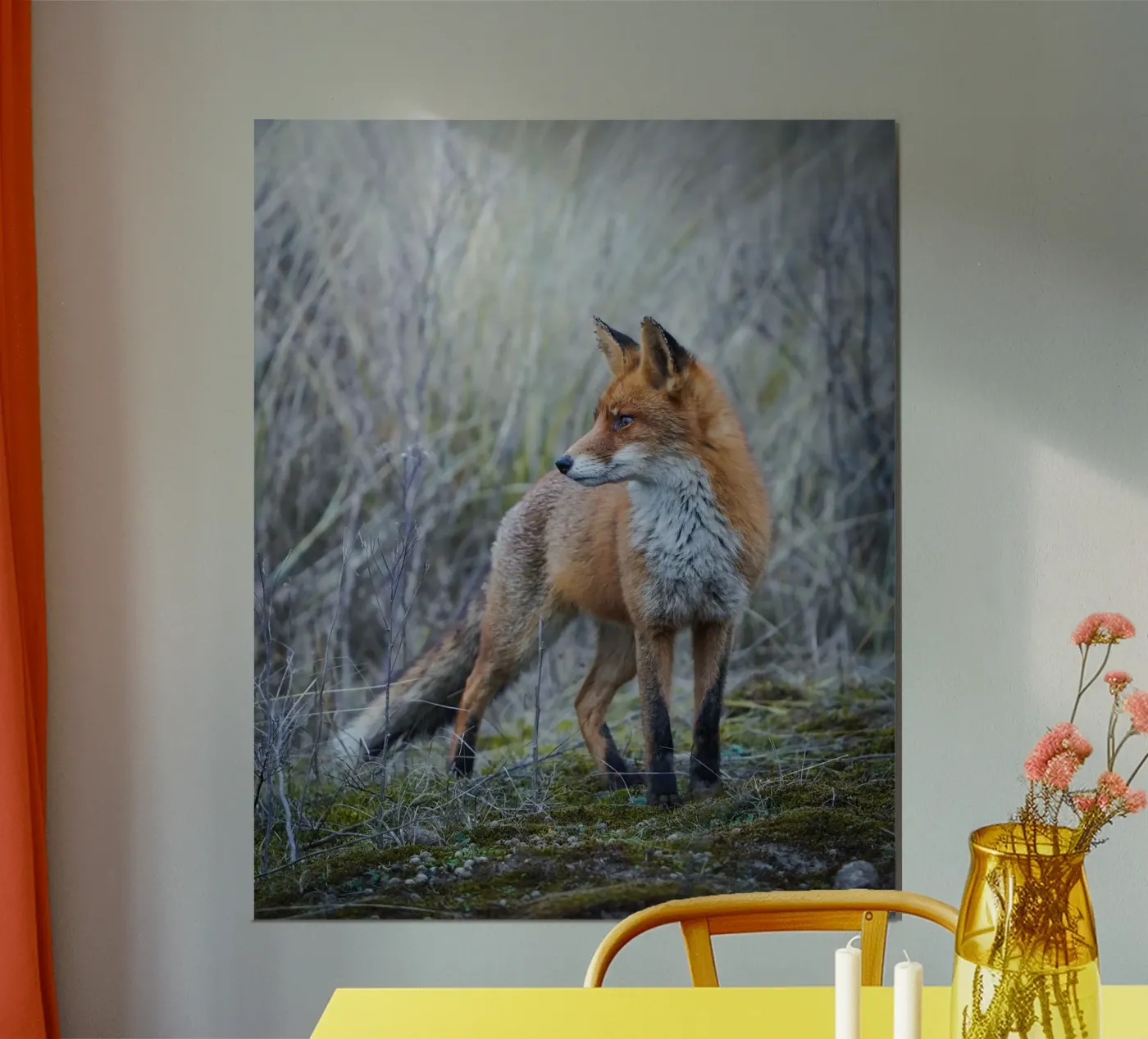 Fox poster van Tom's Wildlife
