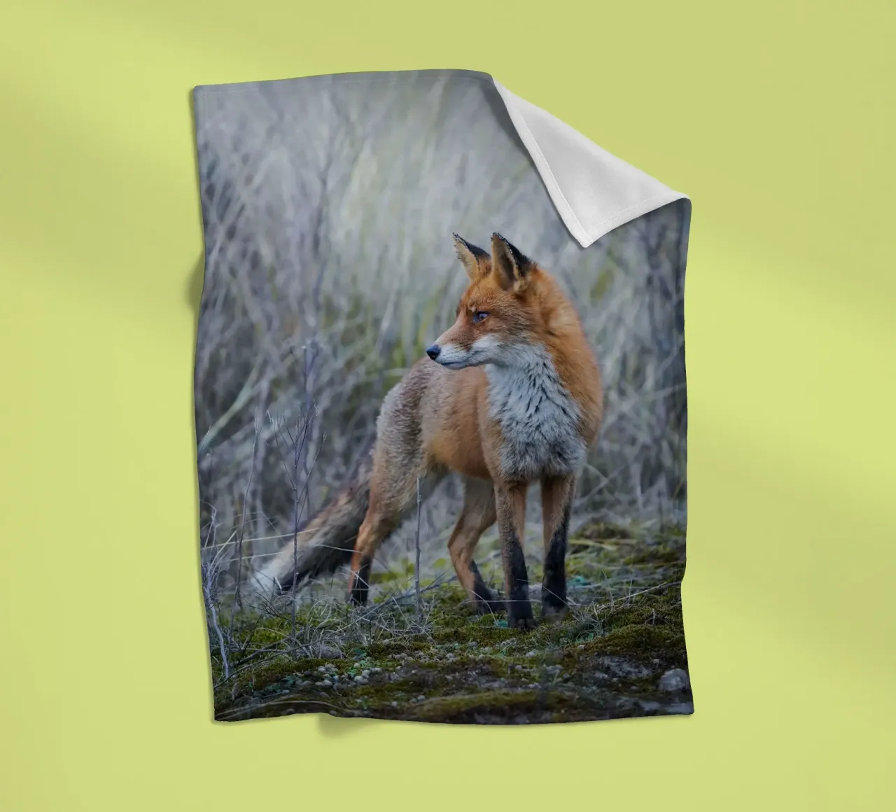 Fuchs Fleecedecke von Tom's Wildlife
