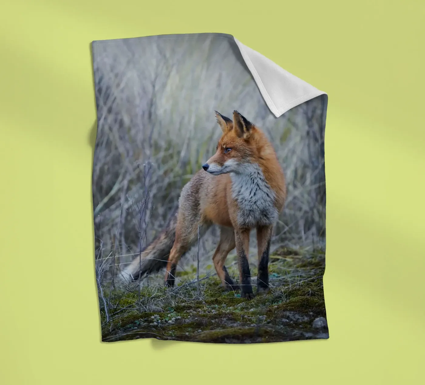Fox Fleecedecke von Tom's Wildlife