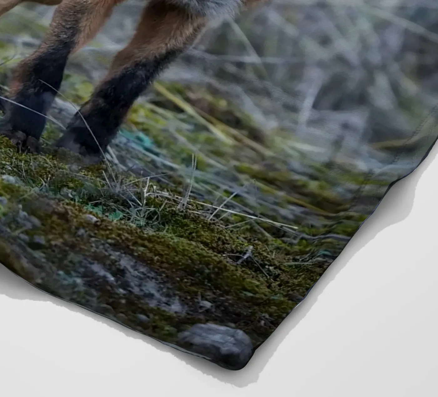 Fox Fleecedecke von Tom's Wildlife