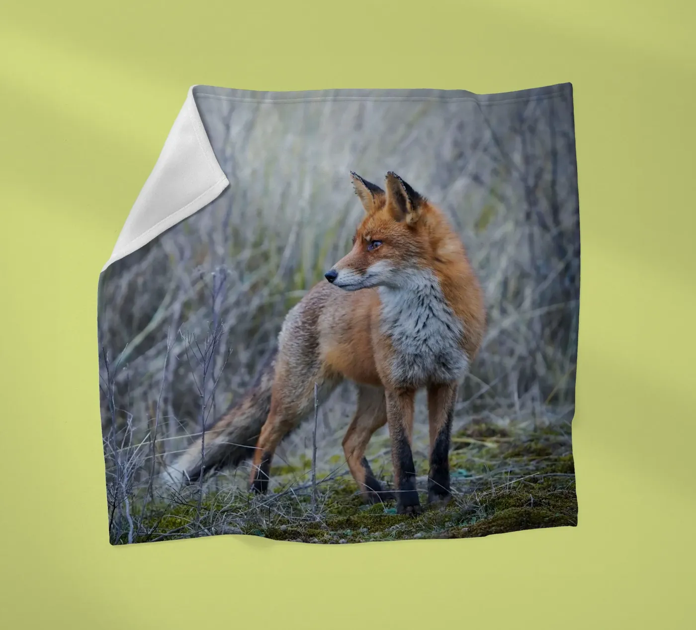 Fox Fleecedecke von Tom's Wildlife