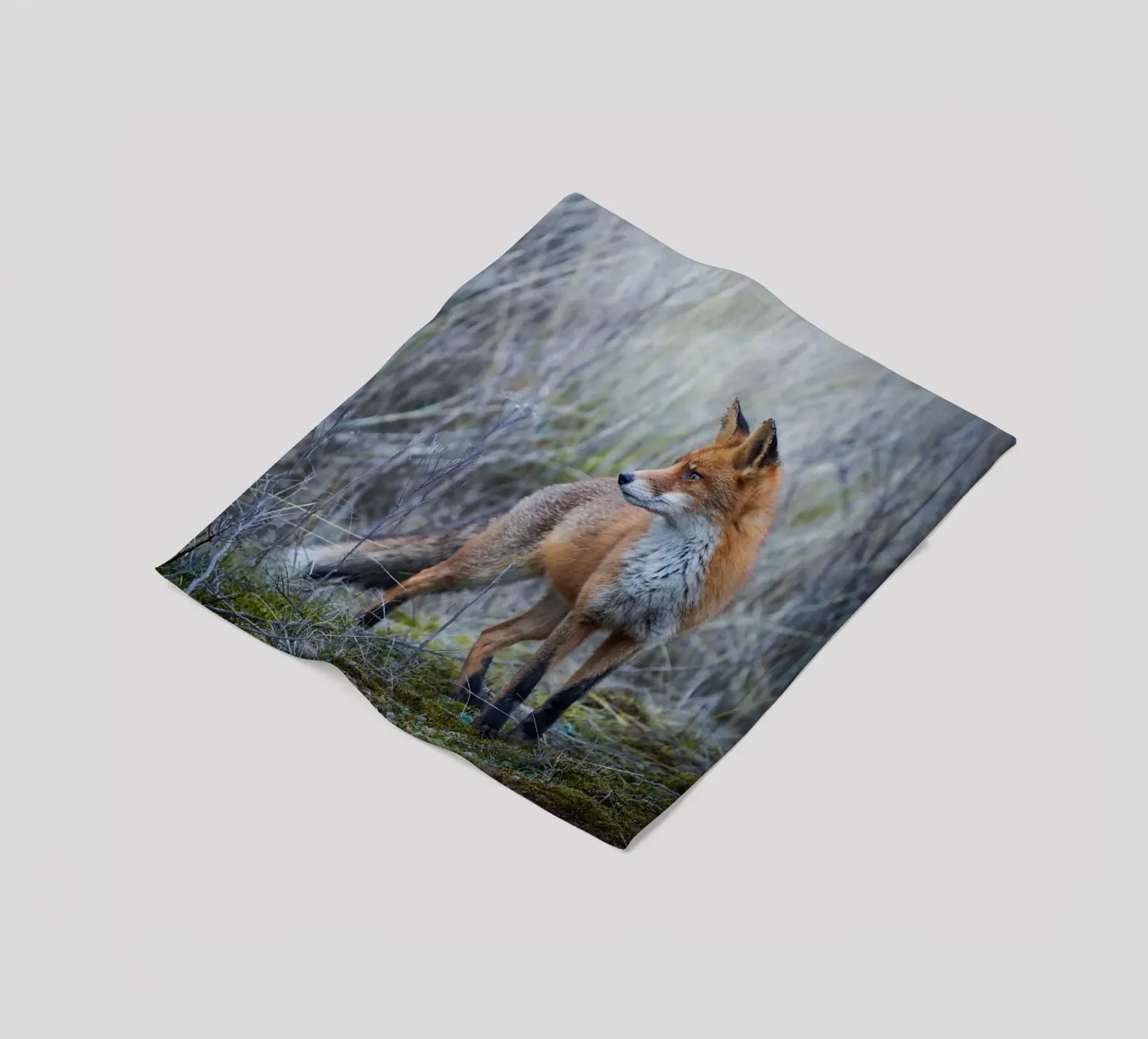 Fox Fleecedecke von Tom's Wildlife