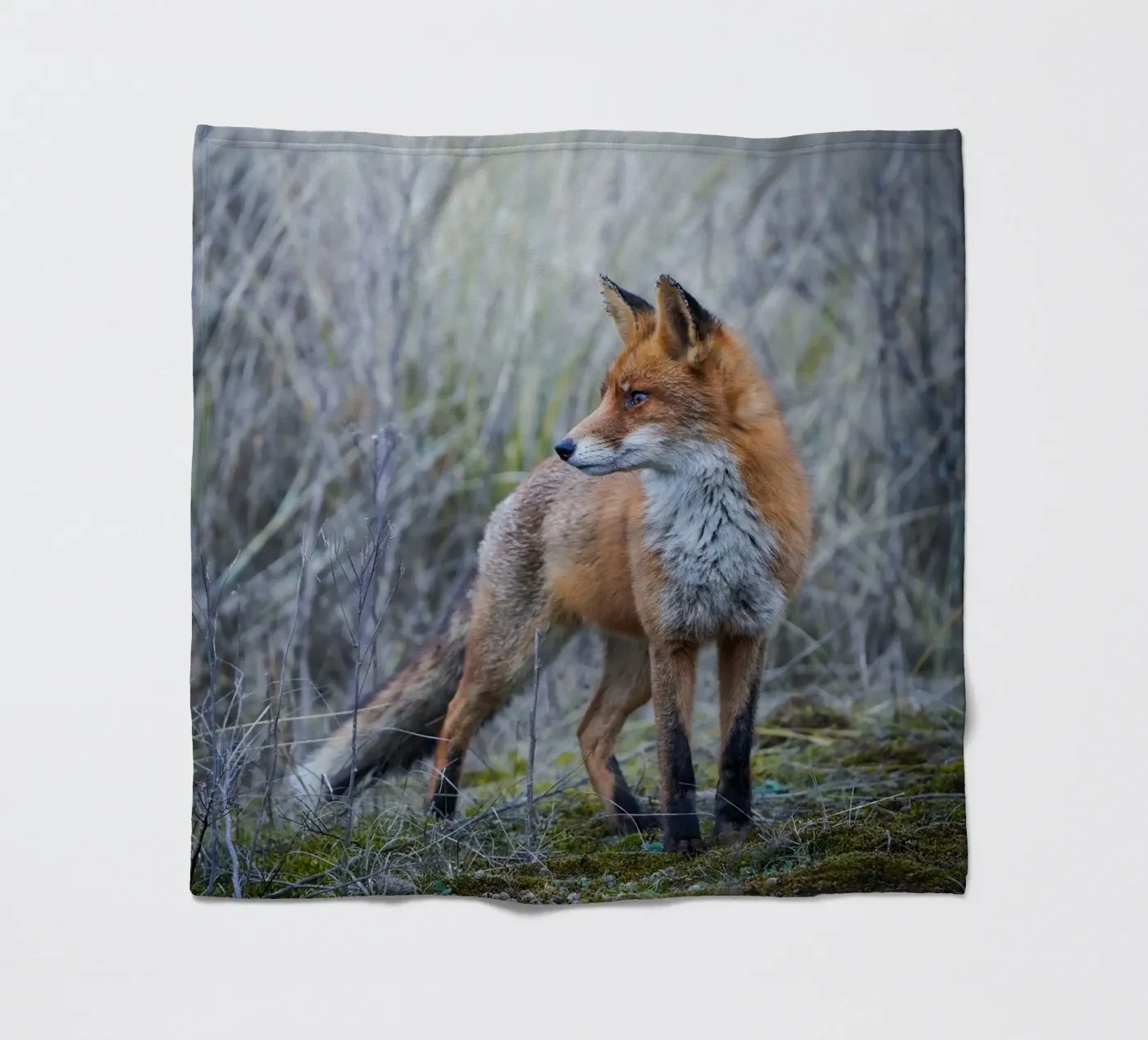 Fox Fleecedecke von Tom's Wildlife