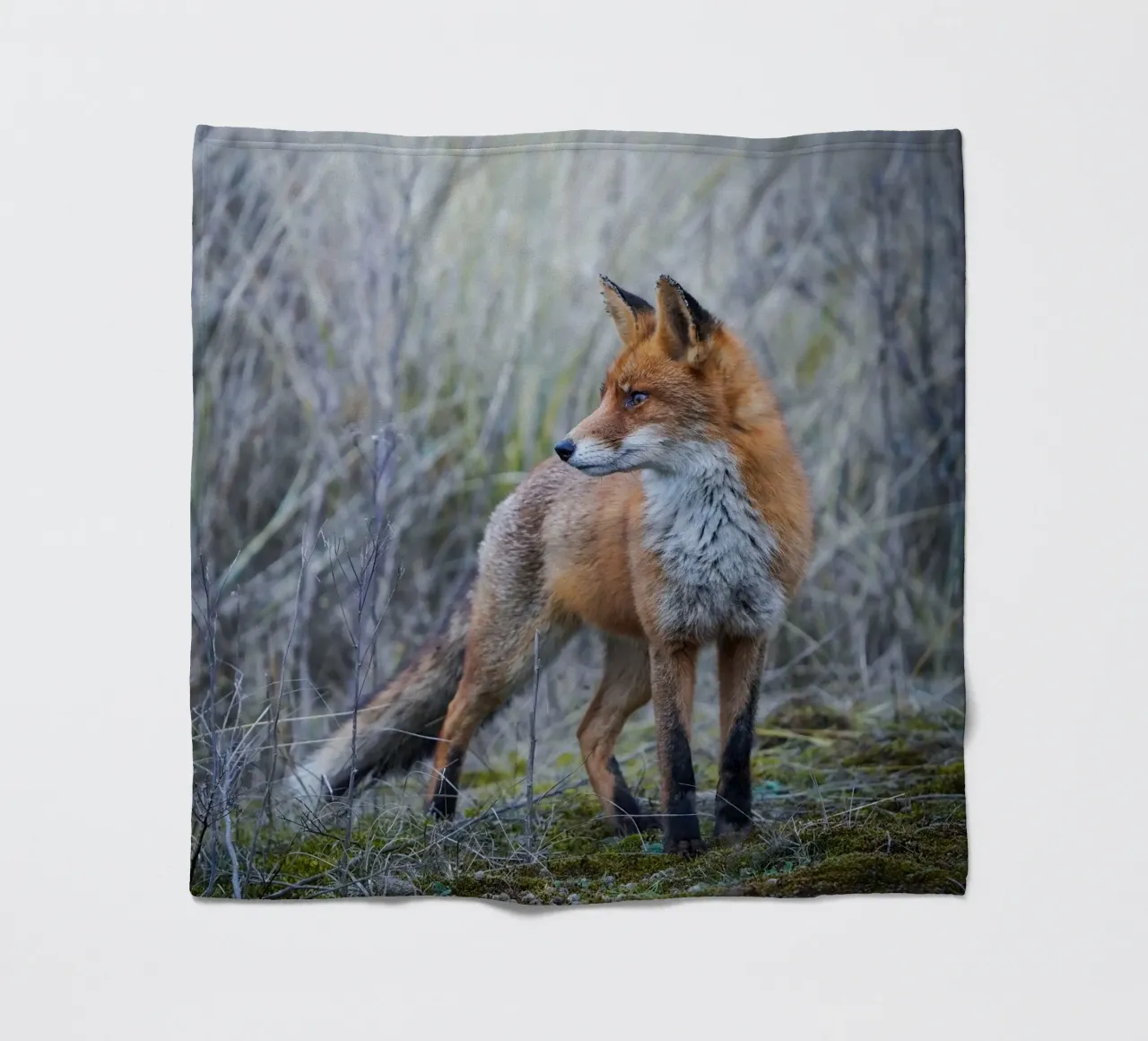 Fuchs Fleecedecke von Tom's Wildlife