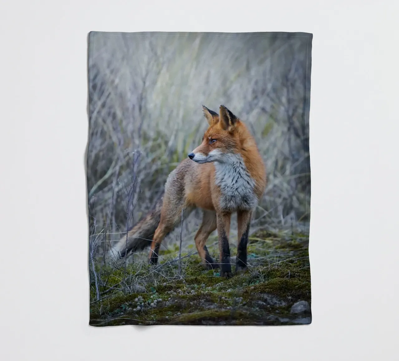 Fuchs Fleecedecke von Tom's Wildlife