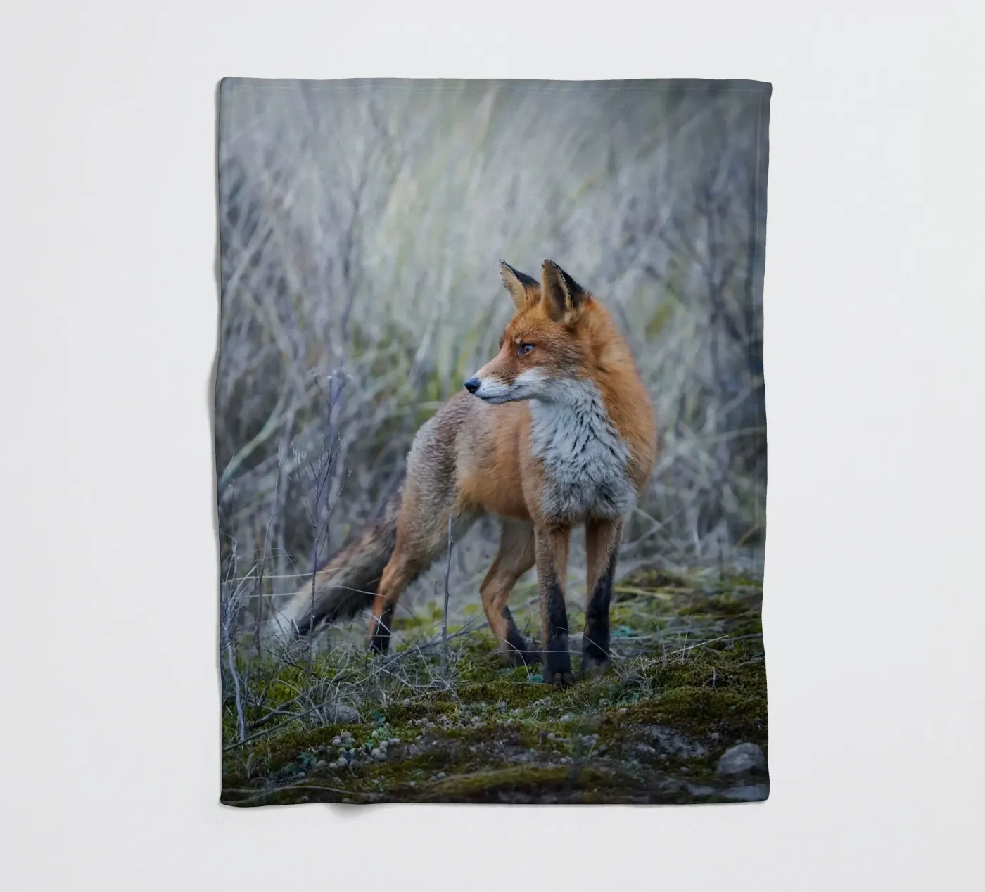 Fox Fleecedecke von Tom's Wildlife