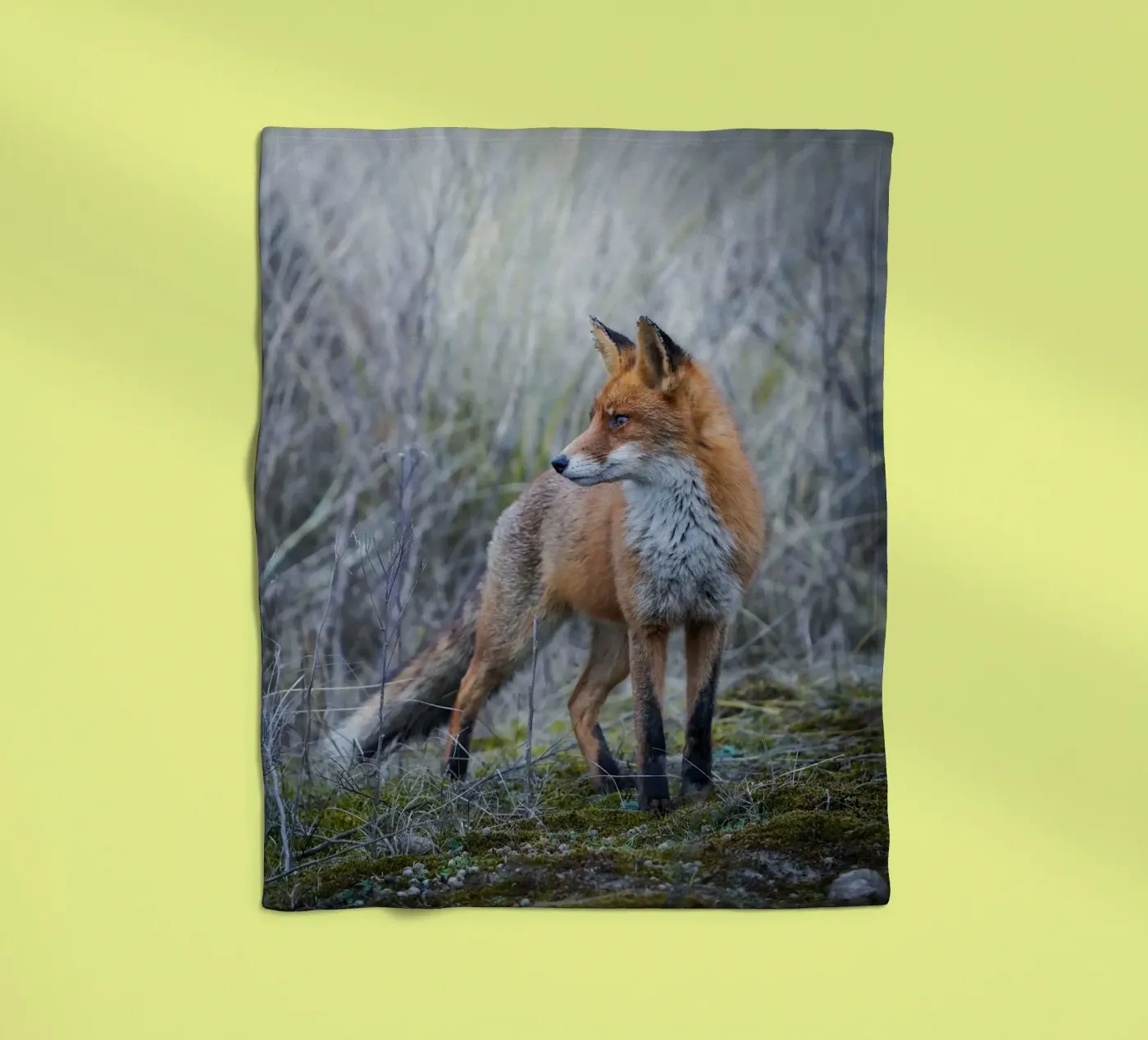 Fox Fleecedecke von Tom's Wildlife