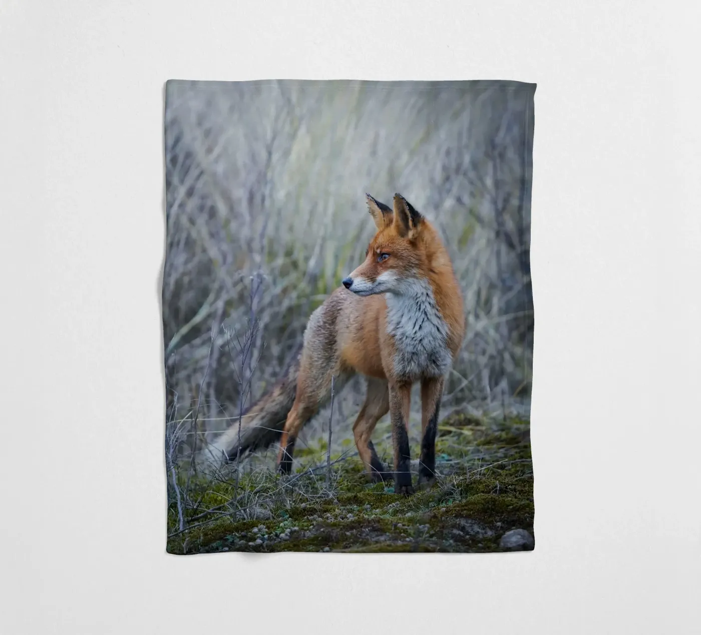 Fox Fleecedecke von Tom's Wildlife