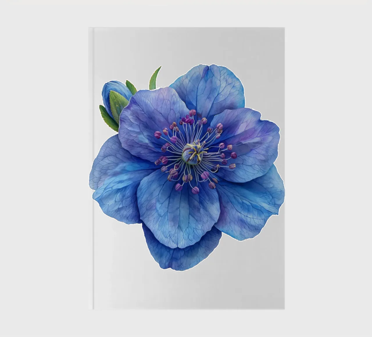 Fiore di delphinium 1 diario da Bold Blooms