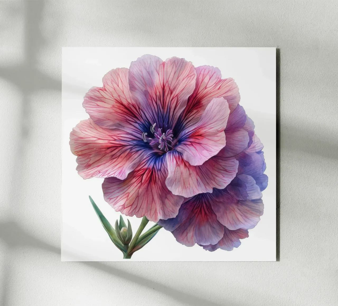 Fiore di dianthus 2 pannello forex da Bold Blooms