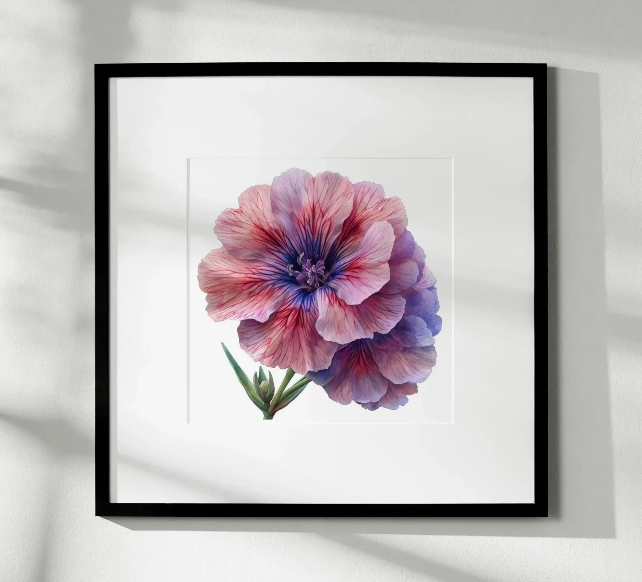 Fiore di dianthus 2 poster con telaio in plastica da Bold Blooms