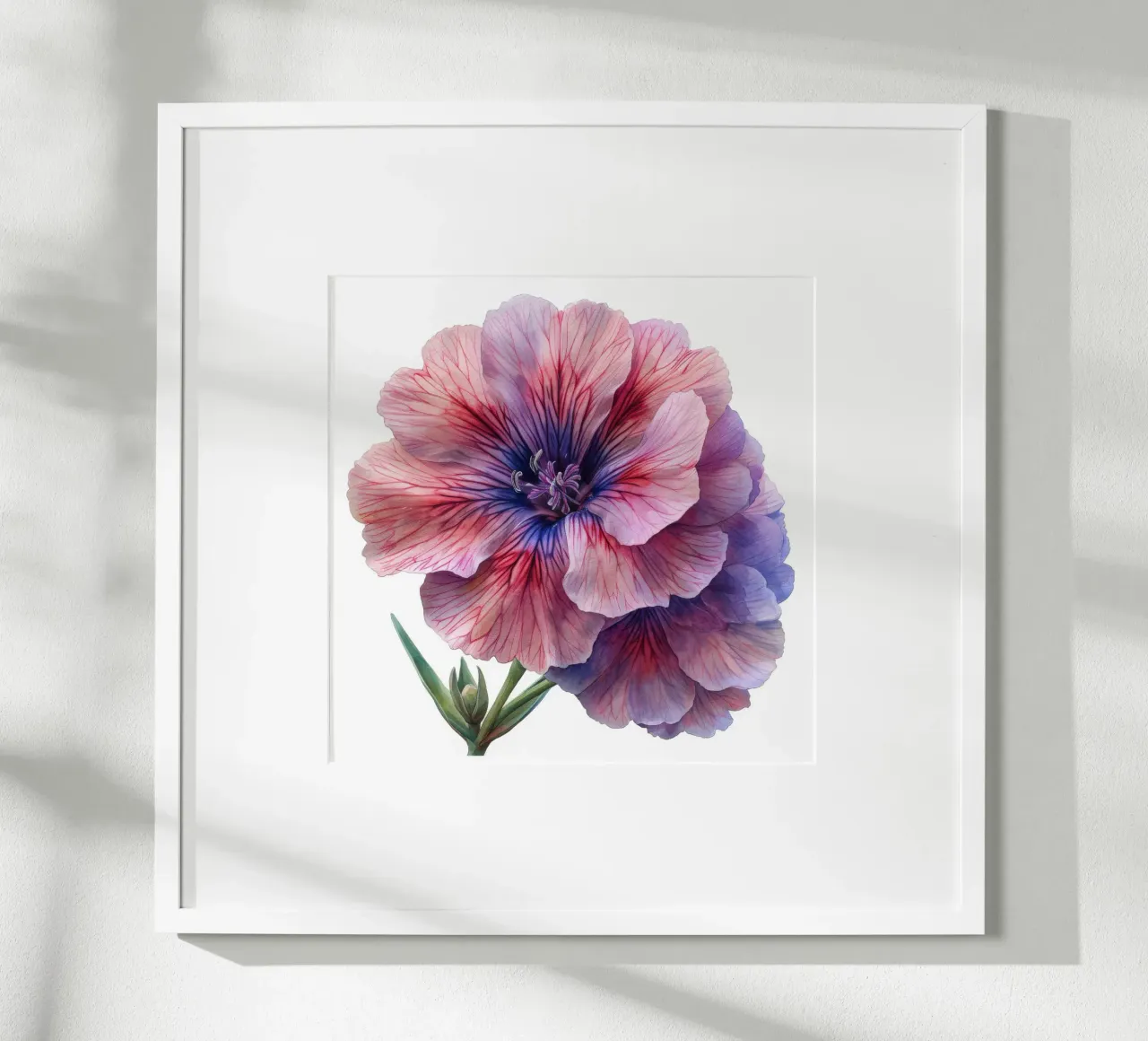 Fiore di dianthus 2 poster con telaio in plastica da Bold Blooms