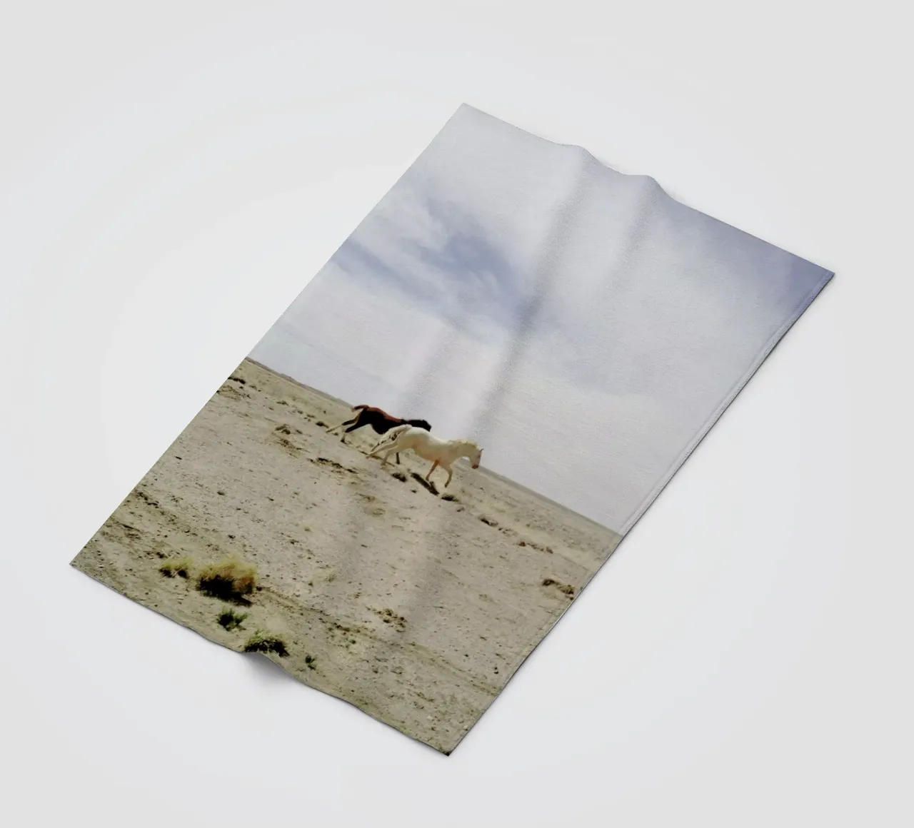 Bloomfield Horse Run coperta in pile da Kevin Russ